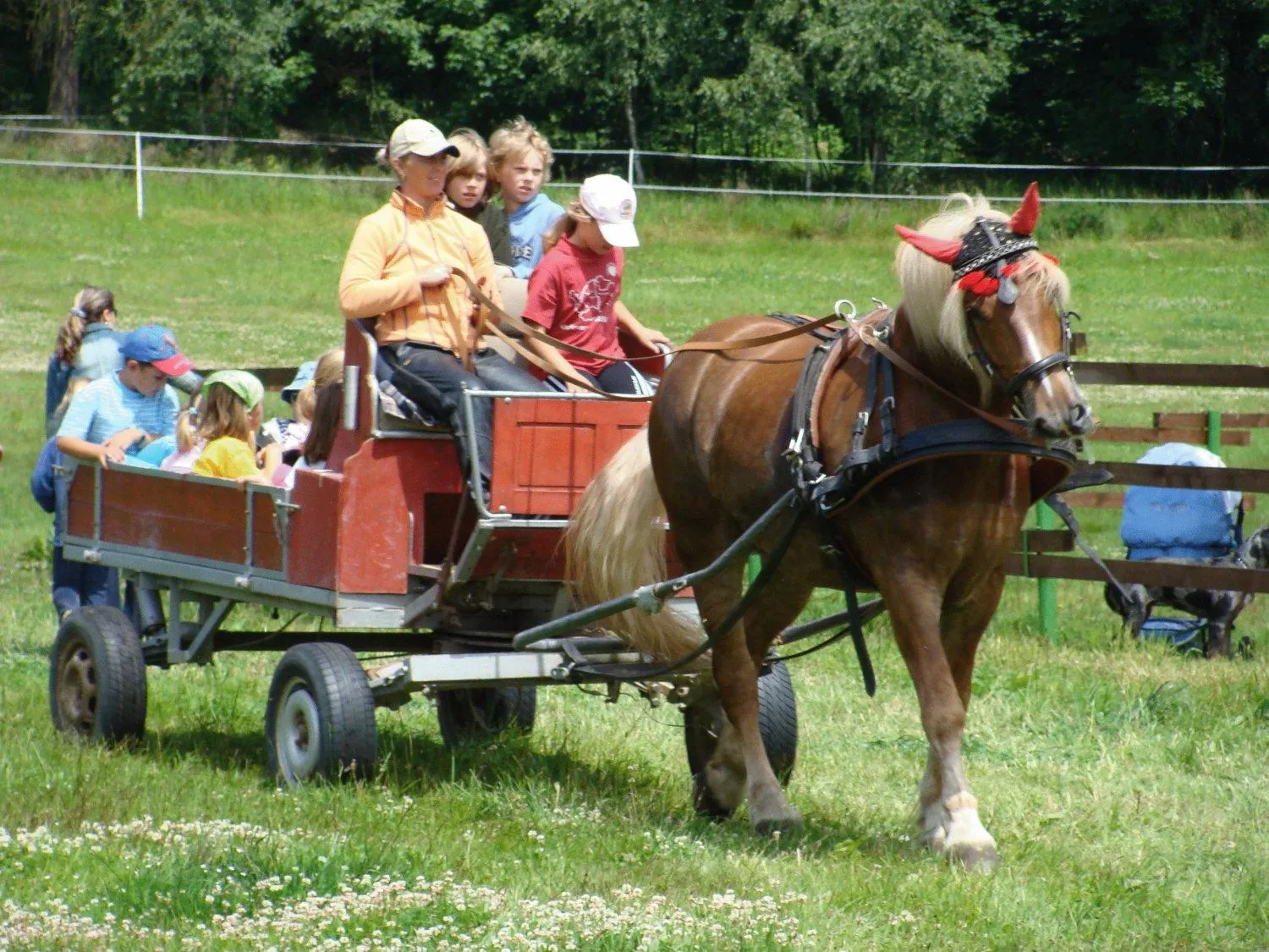Horse-riding in Wellness Hotel Anna Nejdek