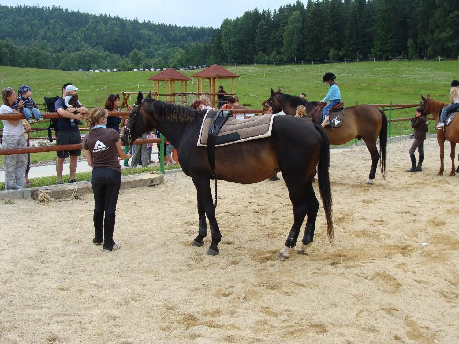 Horse-riding in Wellness Hotel Anna Nejdek