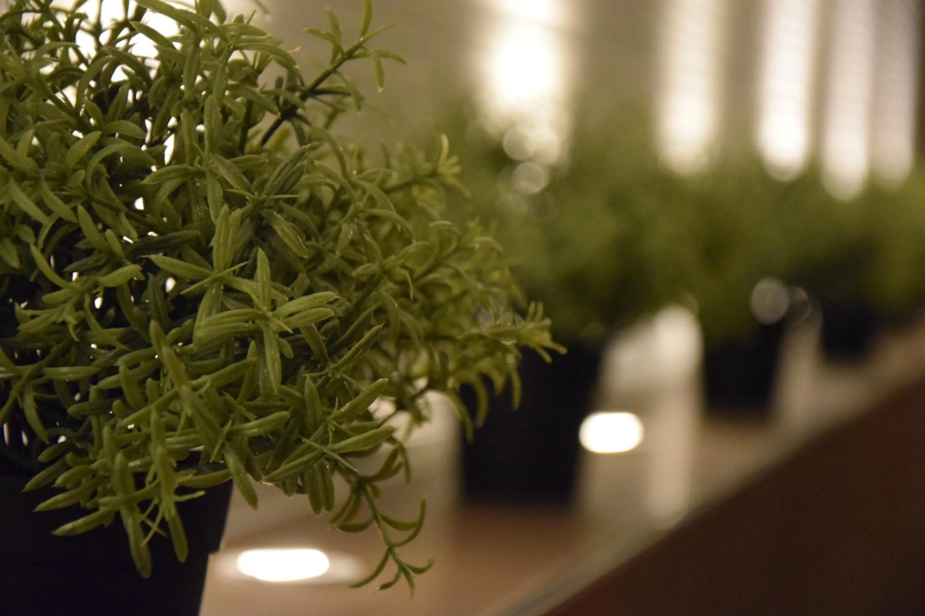 Wellness Hotel Anna Nejdek