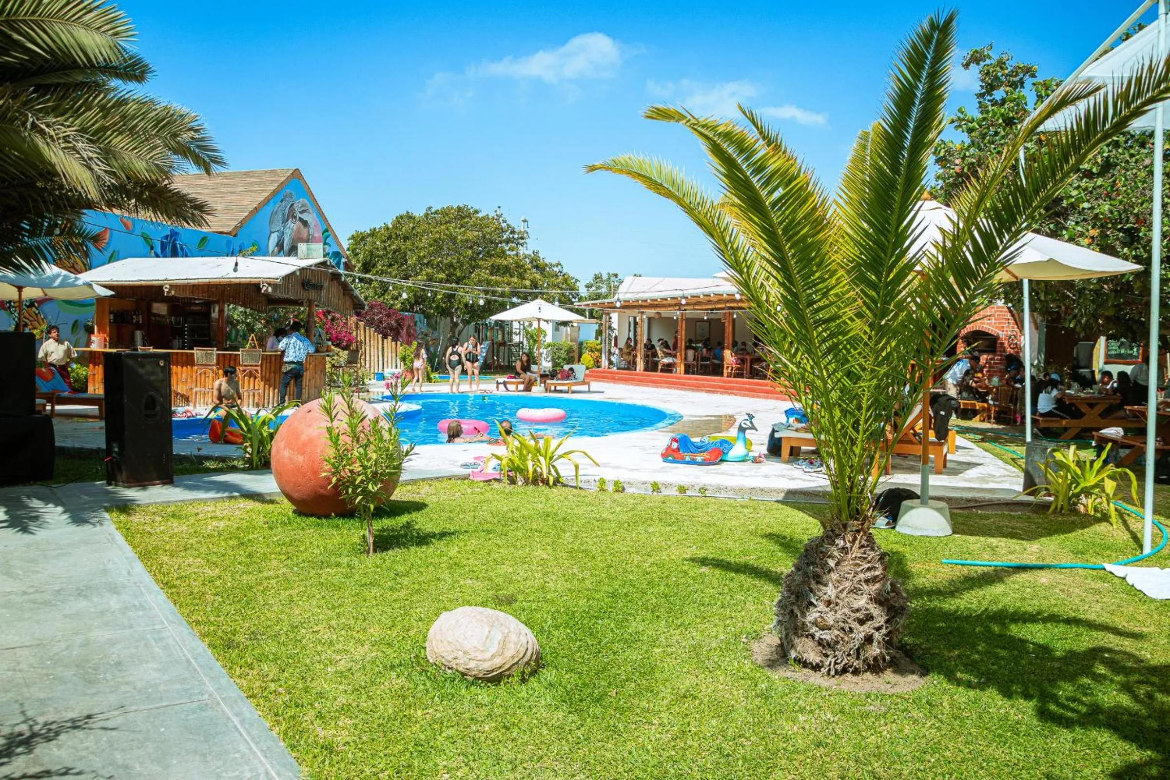 Spring in Hotel El Condor