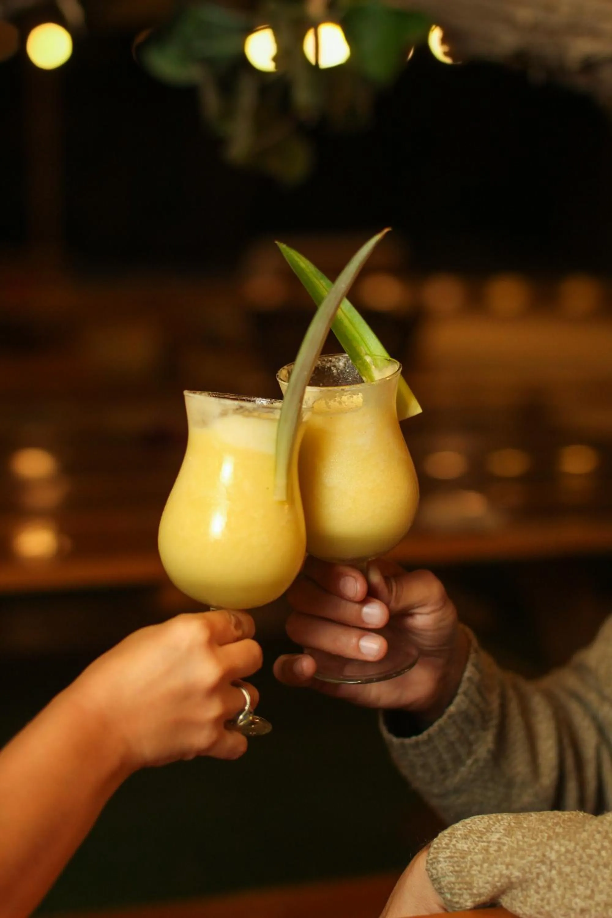 Food and drinks in Hotel El Condor