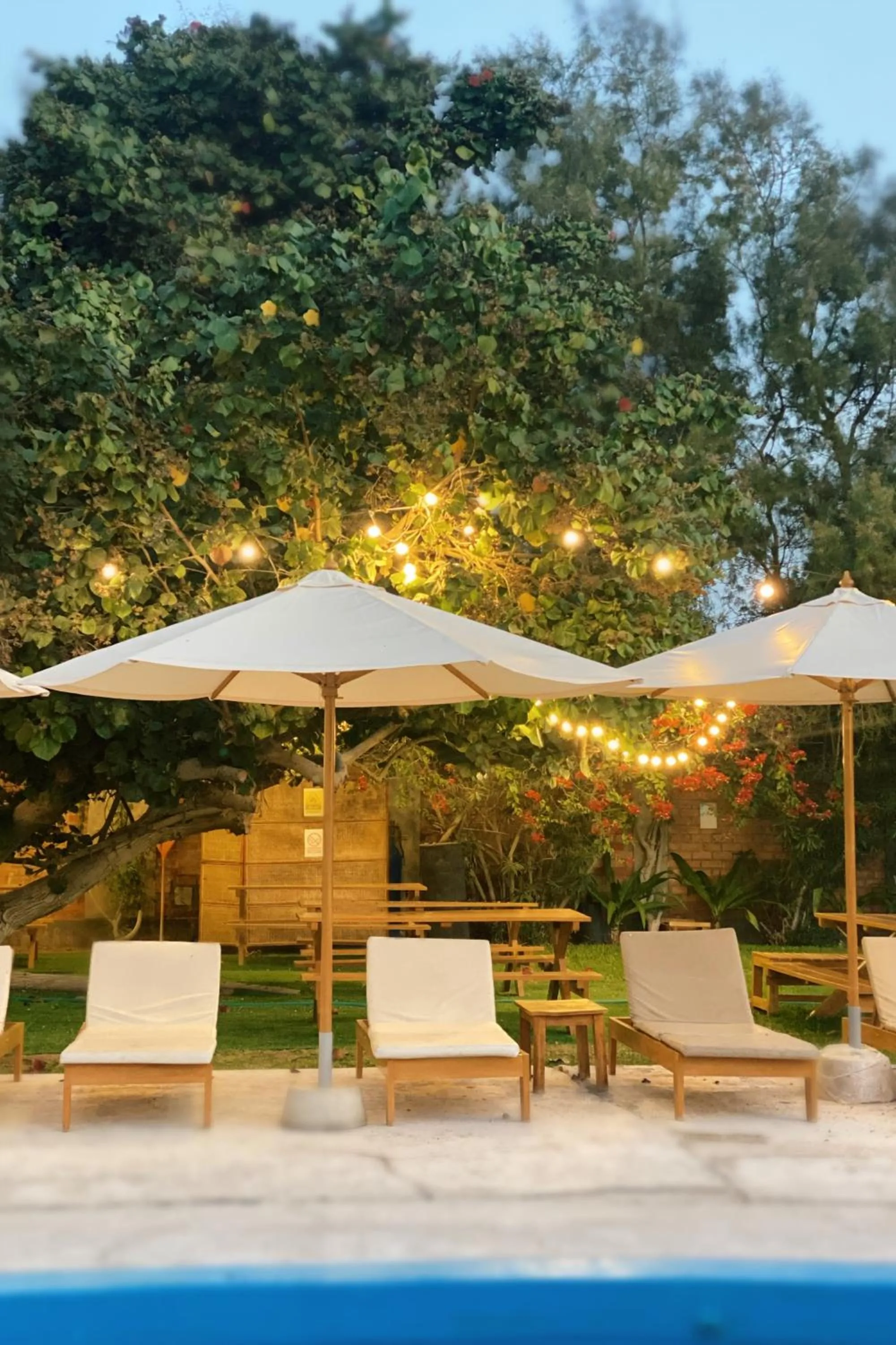 Garden in Hotel El Condor