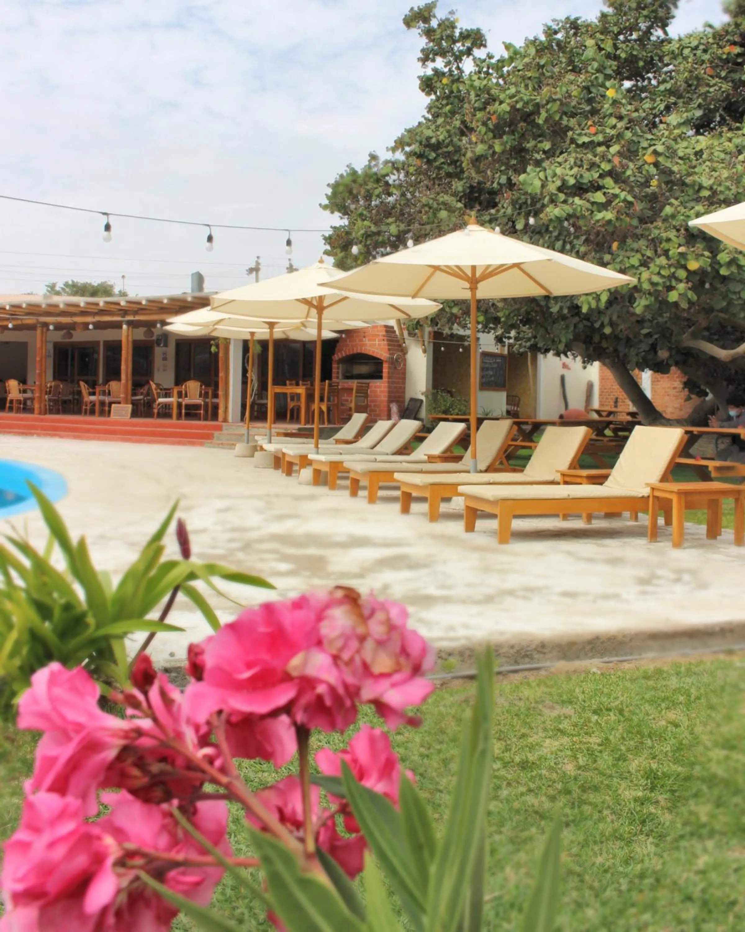 Day in Hotel El Condor