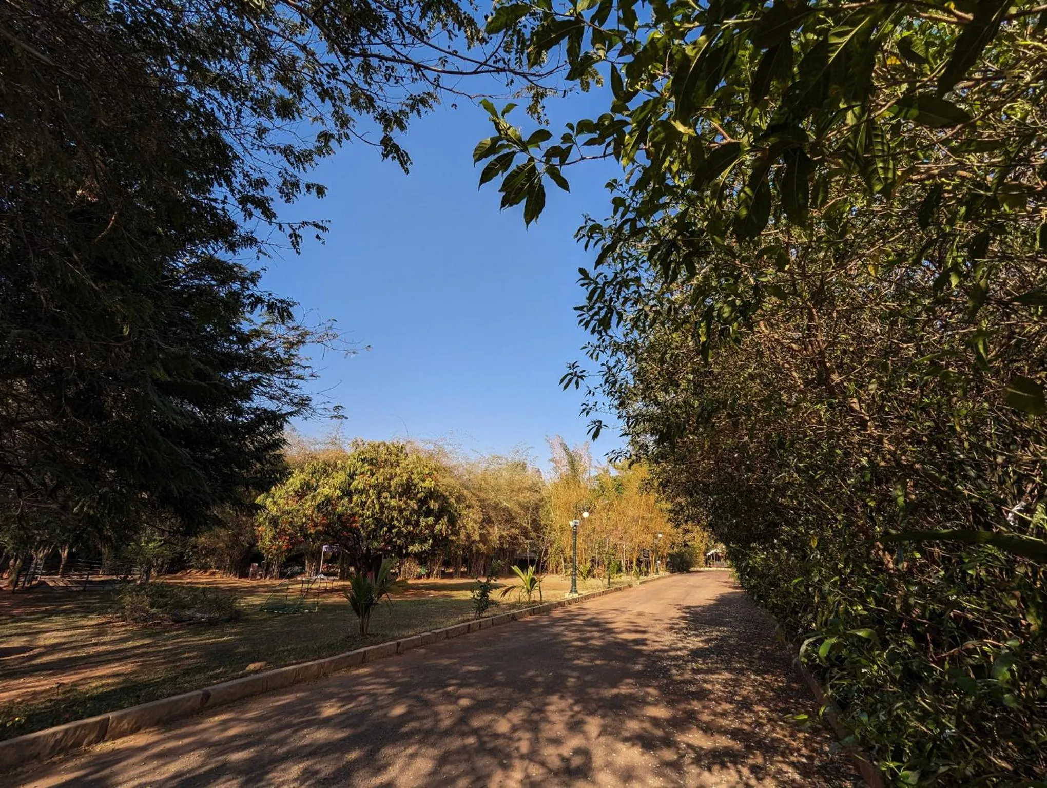 Natural landscape in Olde Bangalore Resort and Wellness Center