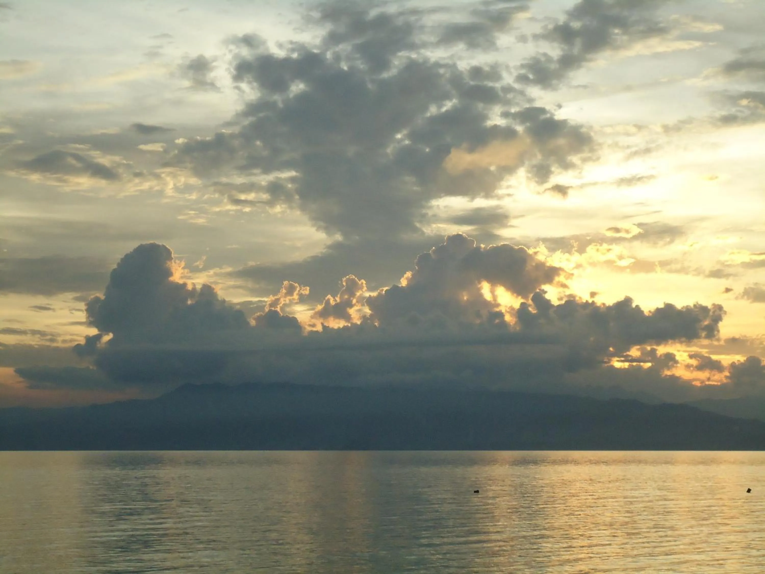Natural landscape in Bonita Oasis Beach Resort