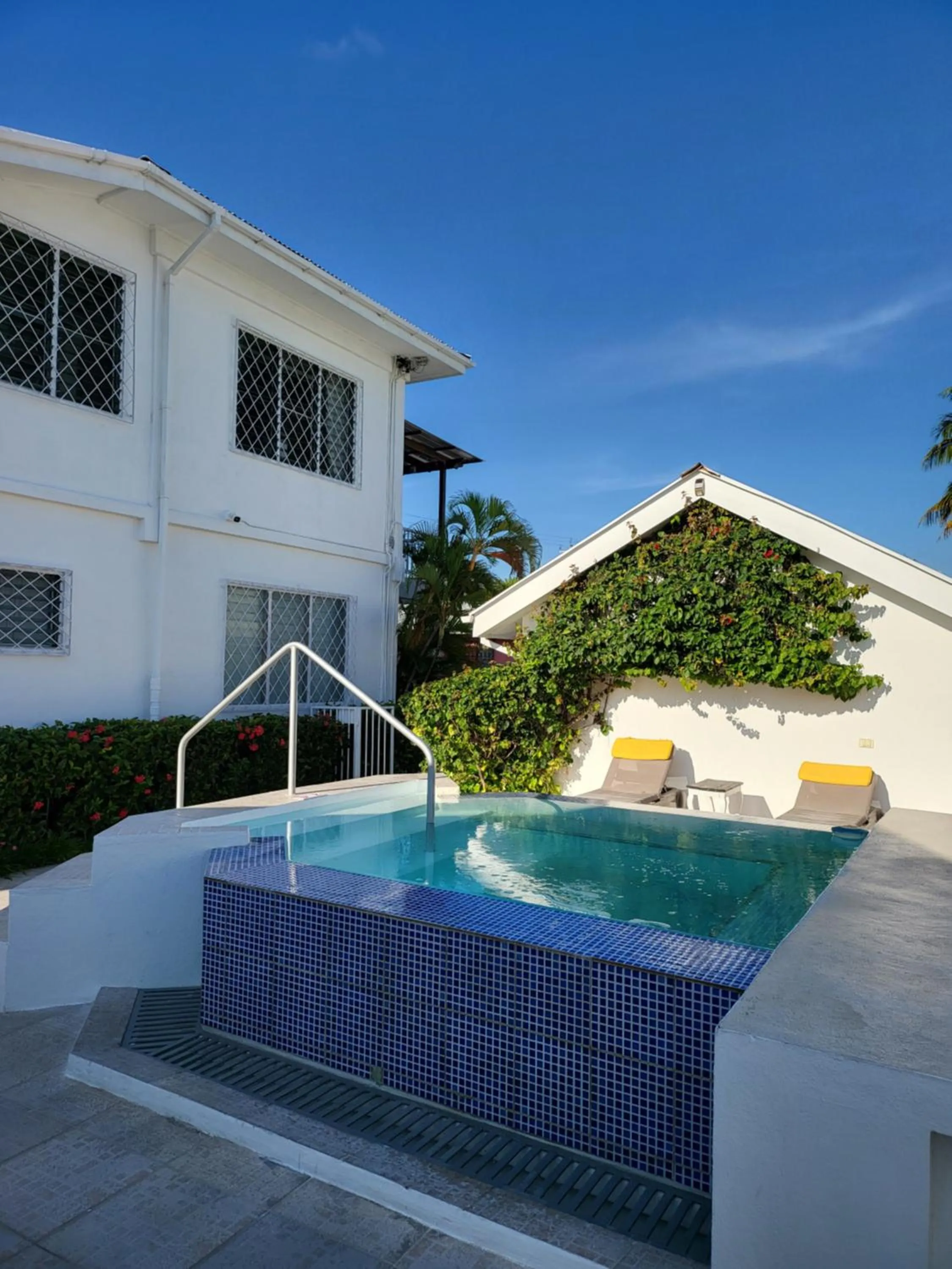 Swimming pool in Villa Boscardi
