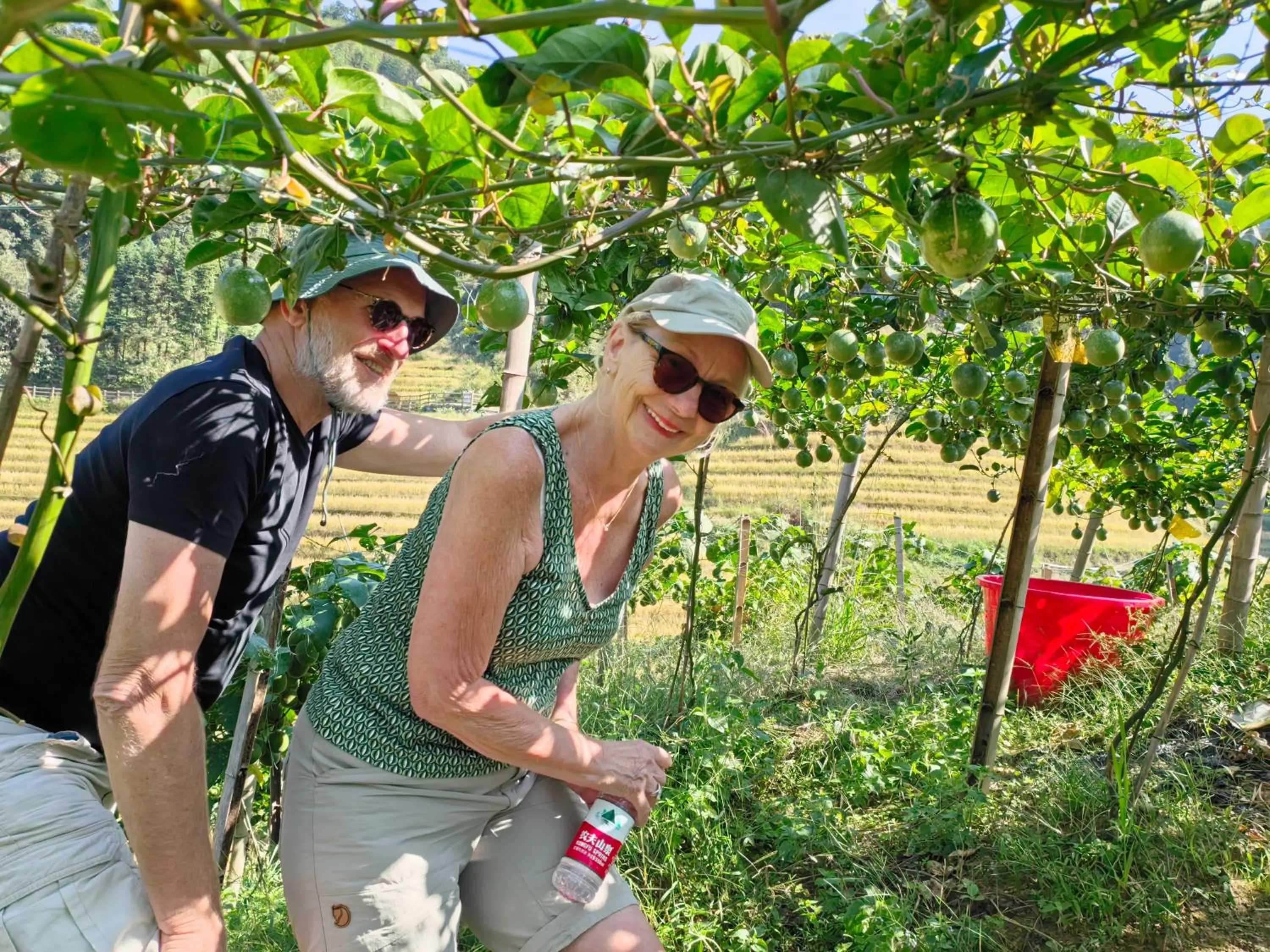 Property building in Longji Holiday Hotel