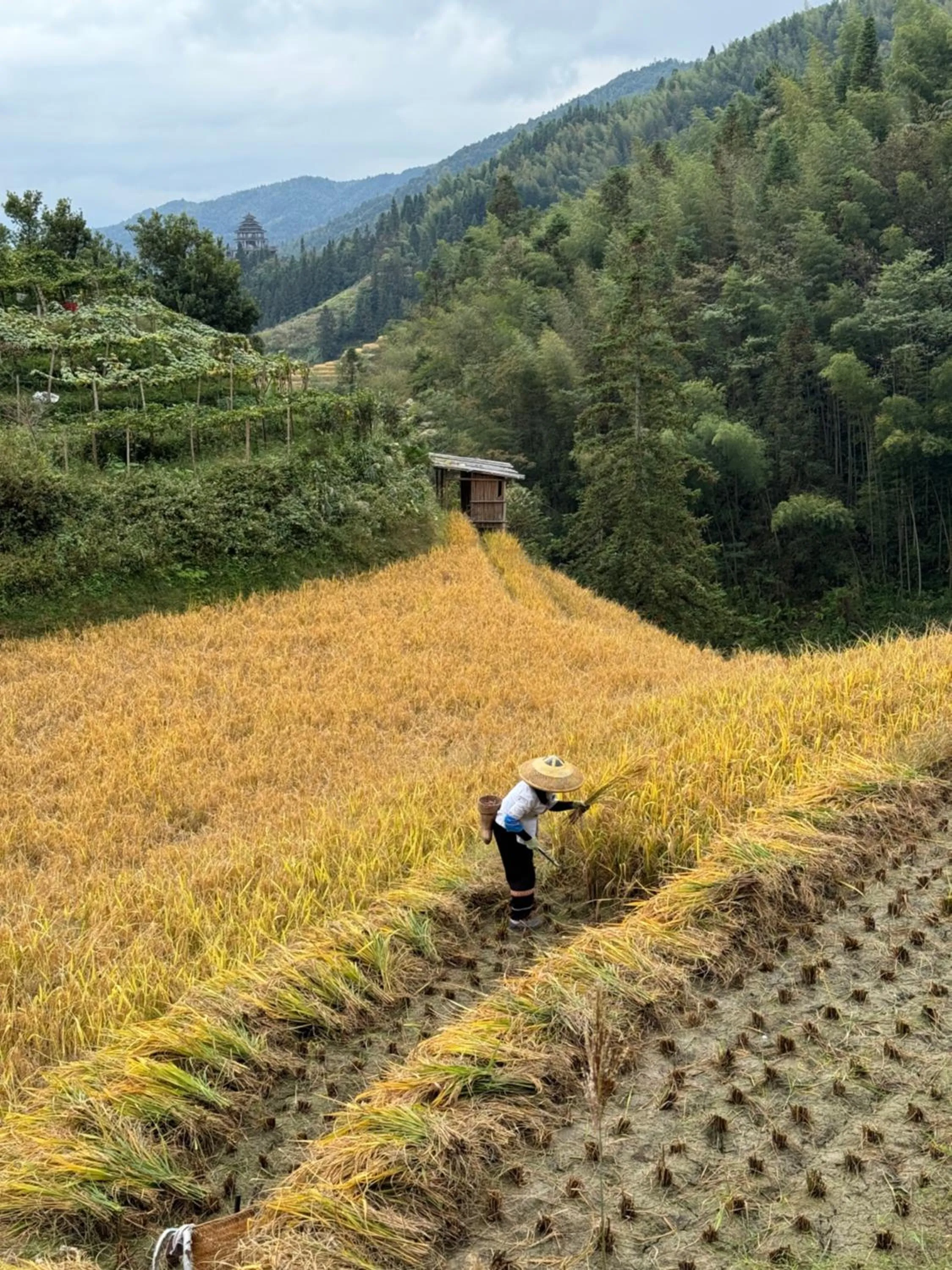 Property building in Longji Holiday Hotel