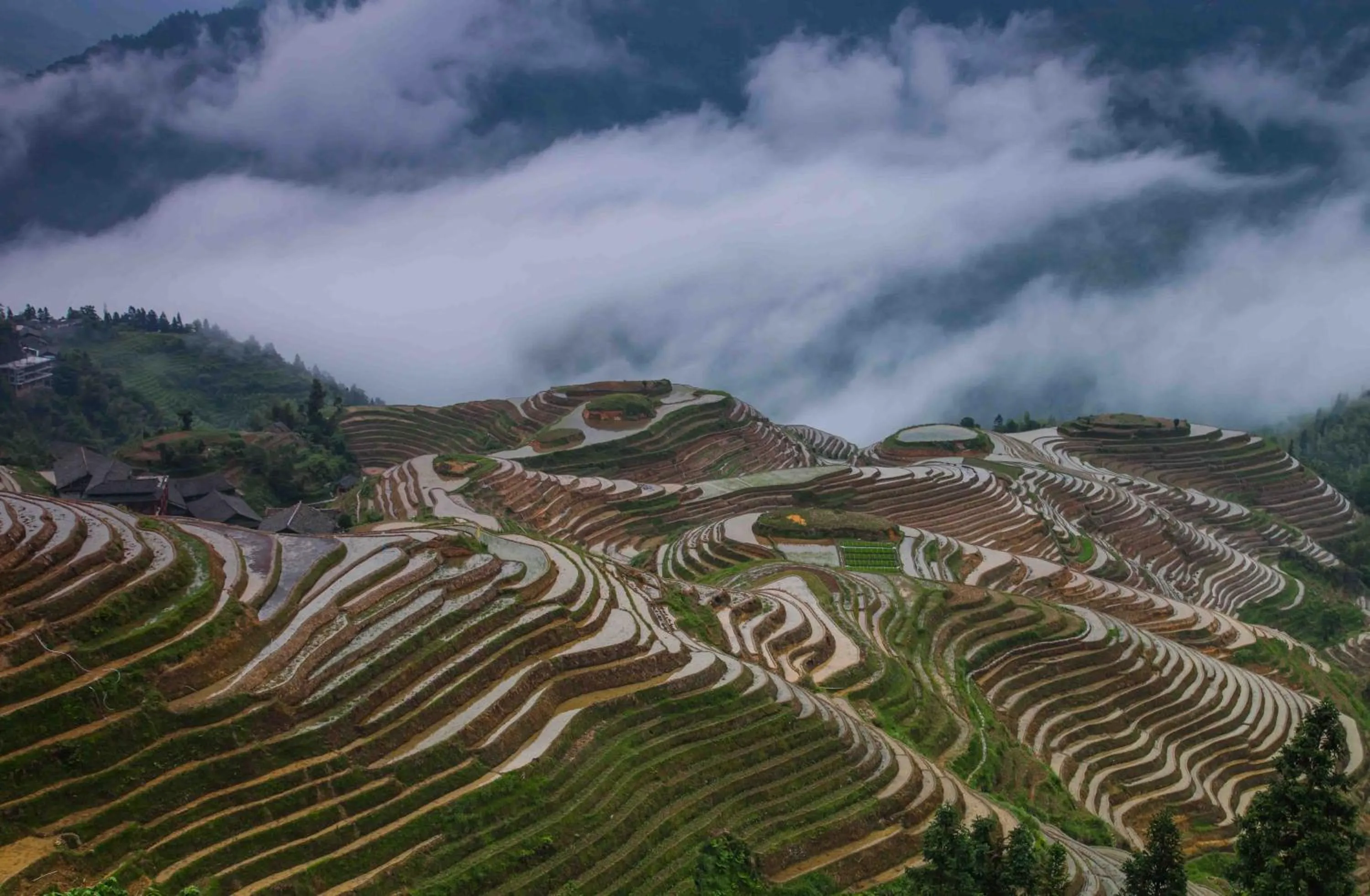 Spring in Longji Holiday Hotel