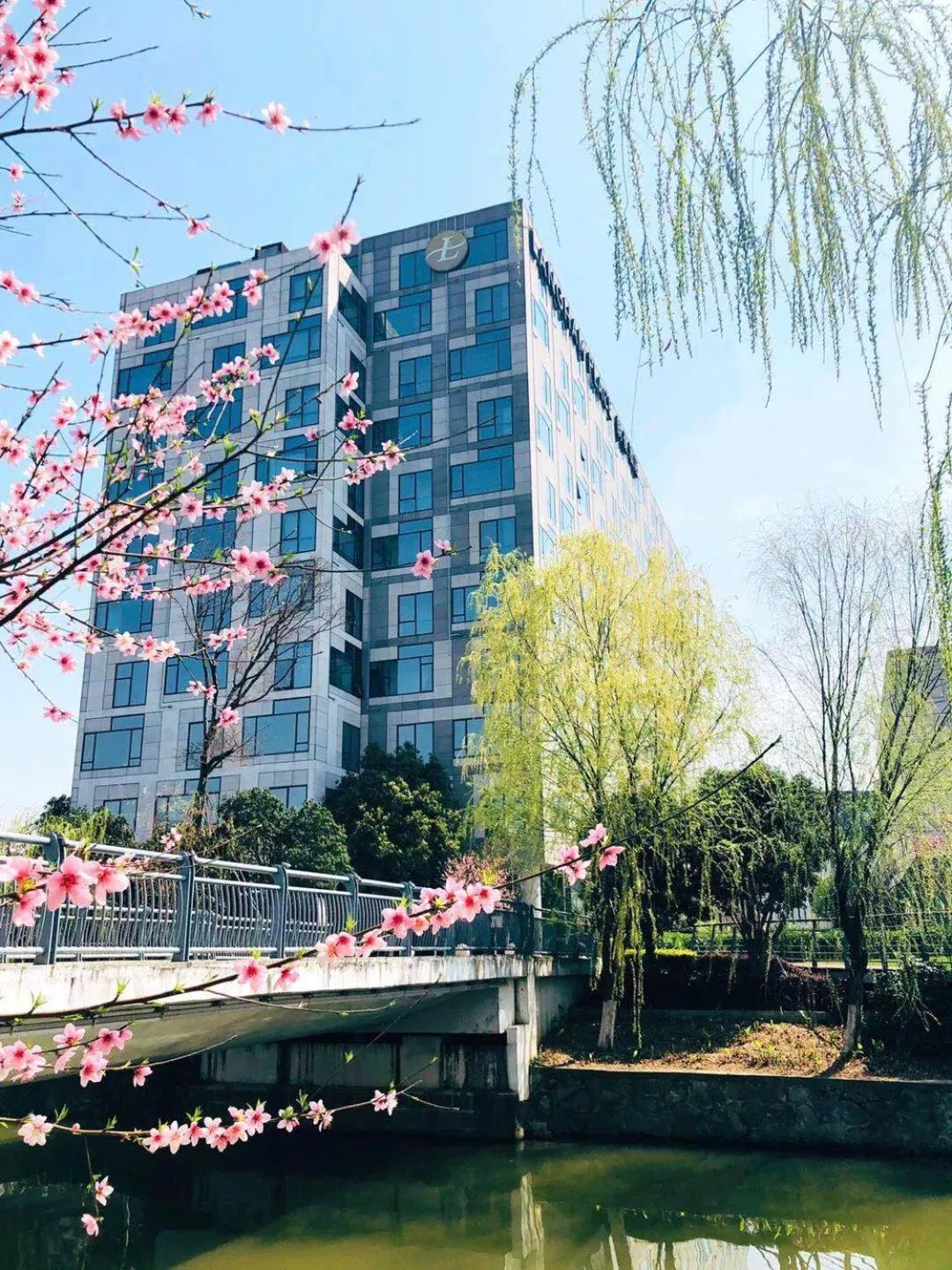 Property building in Langham Place, Ningbo Culture Plaza