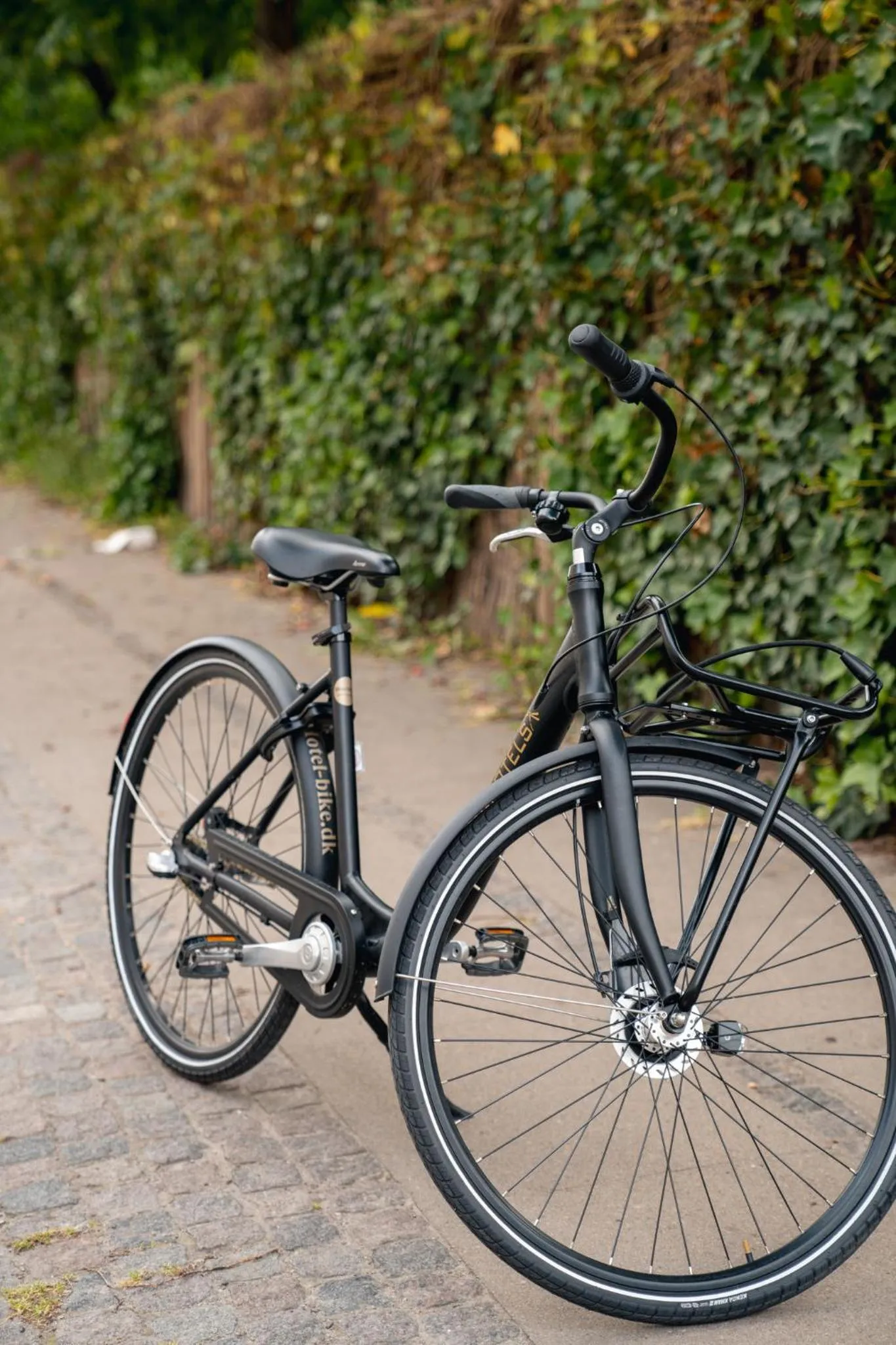 Cycling in Babette Guldsmeden