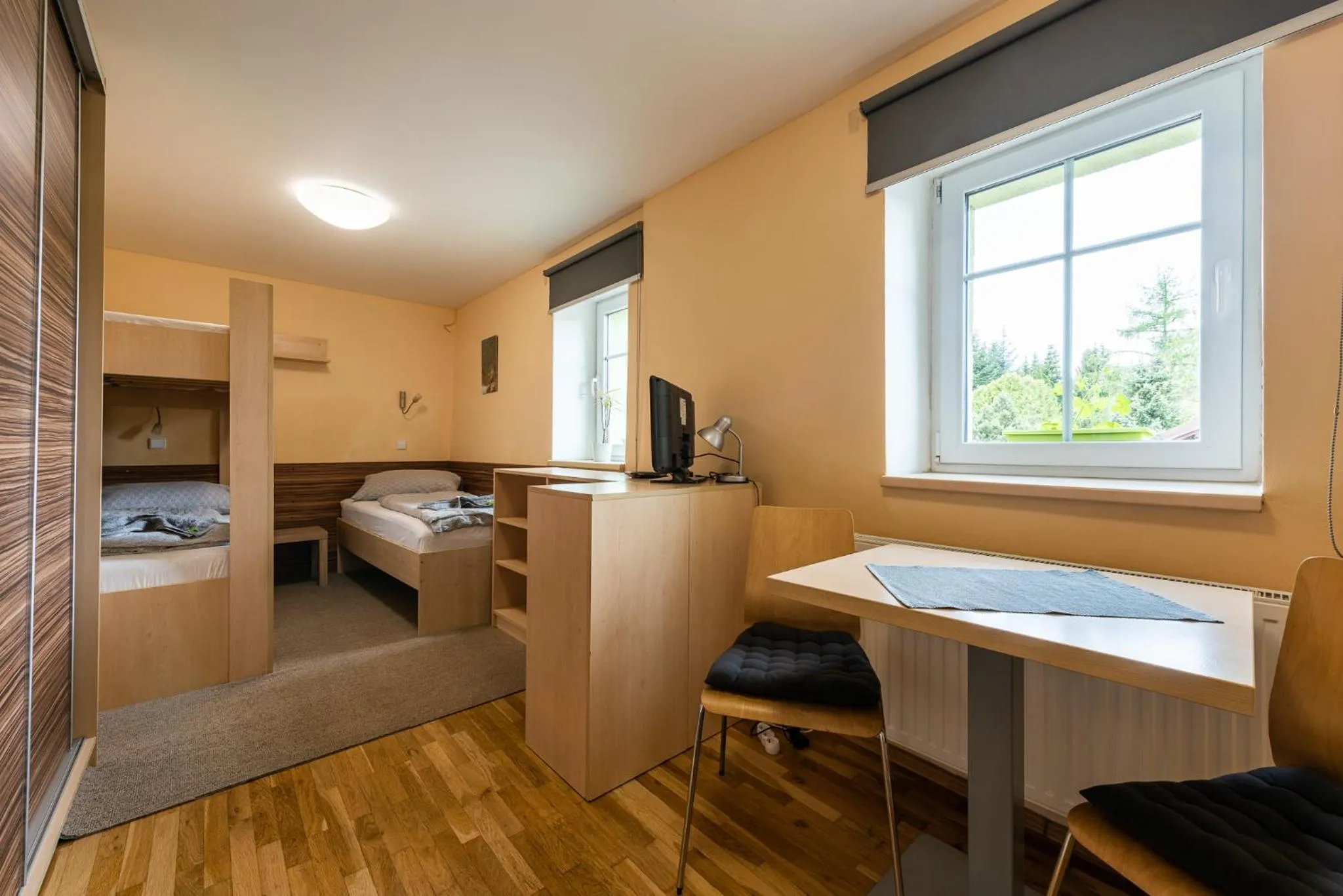 Apartment in Penzion 103