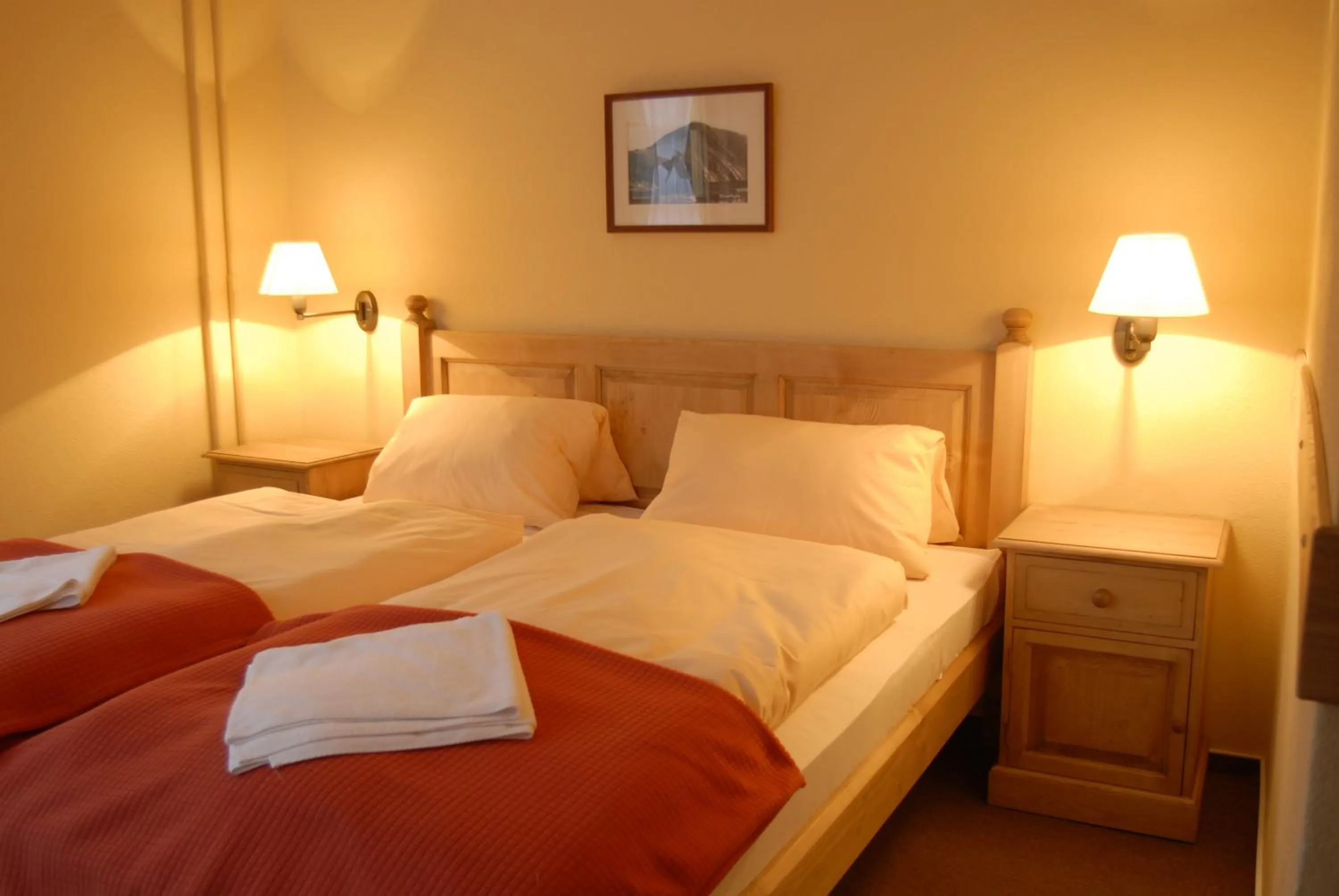 Bed in Alpský Hotel