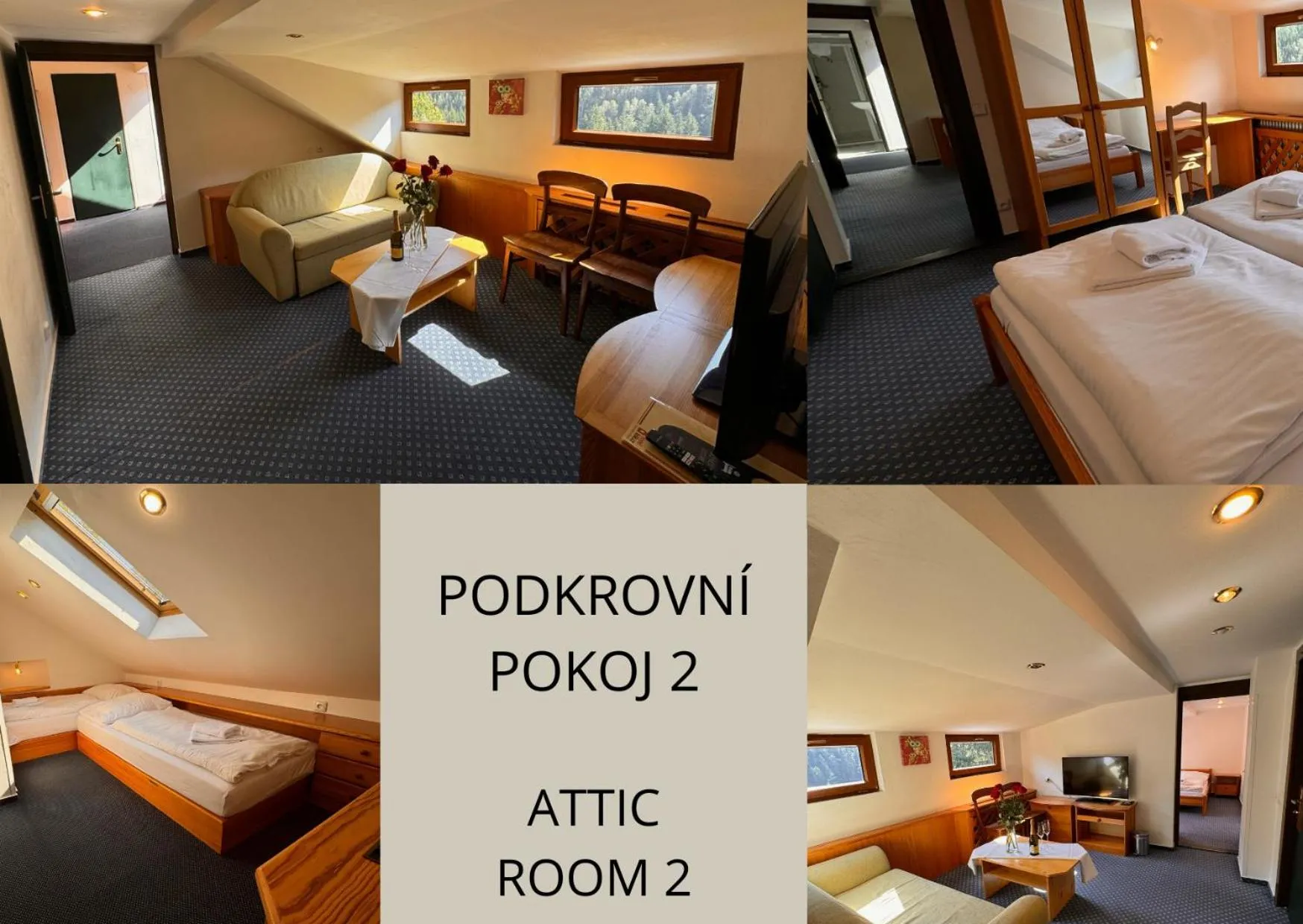 Photo of the whole room, Bed in Alpský Hotel