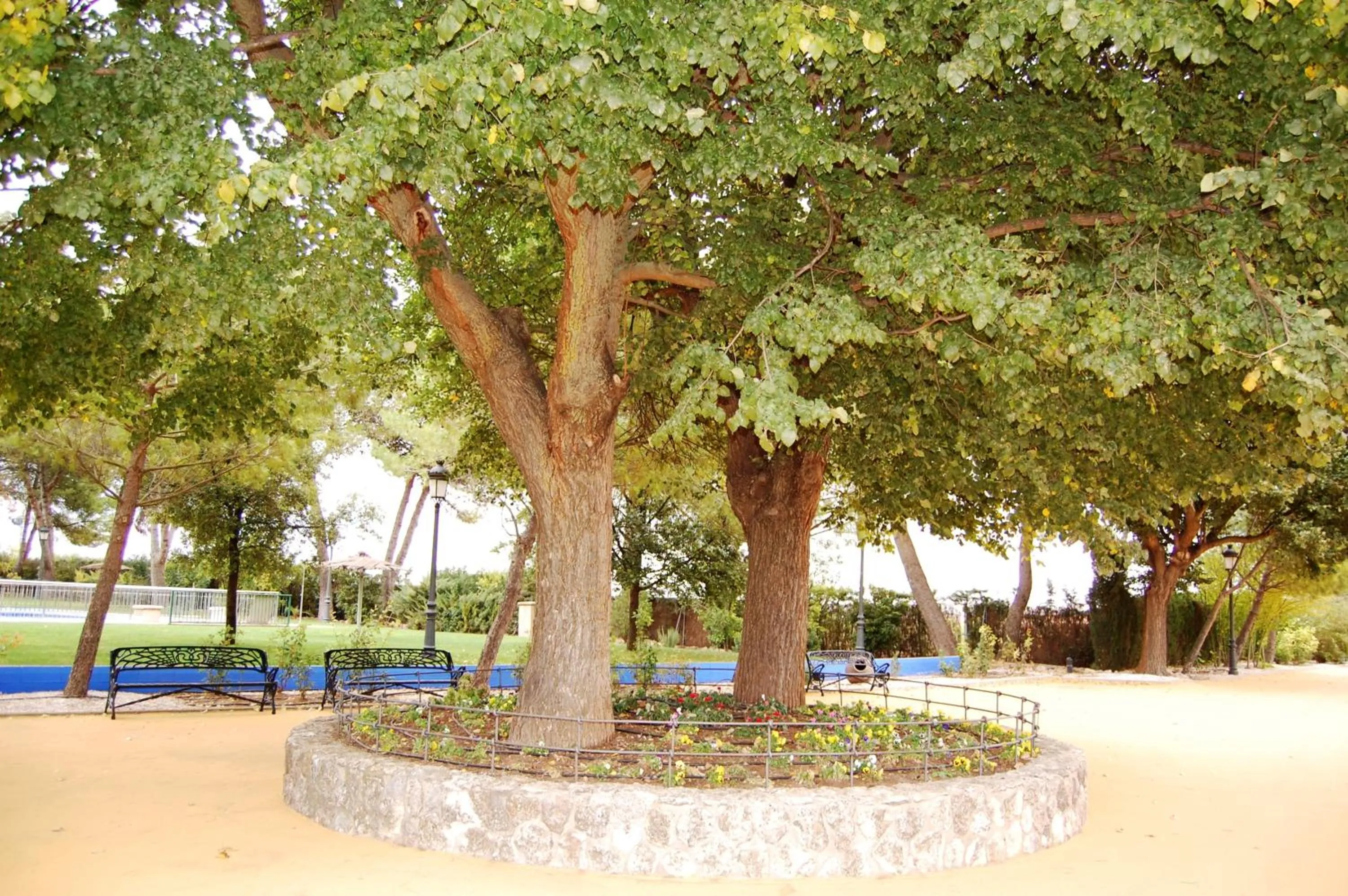 Garden in Hotel El Cortijo de Daimiel