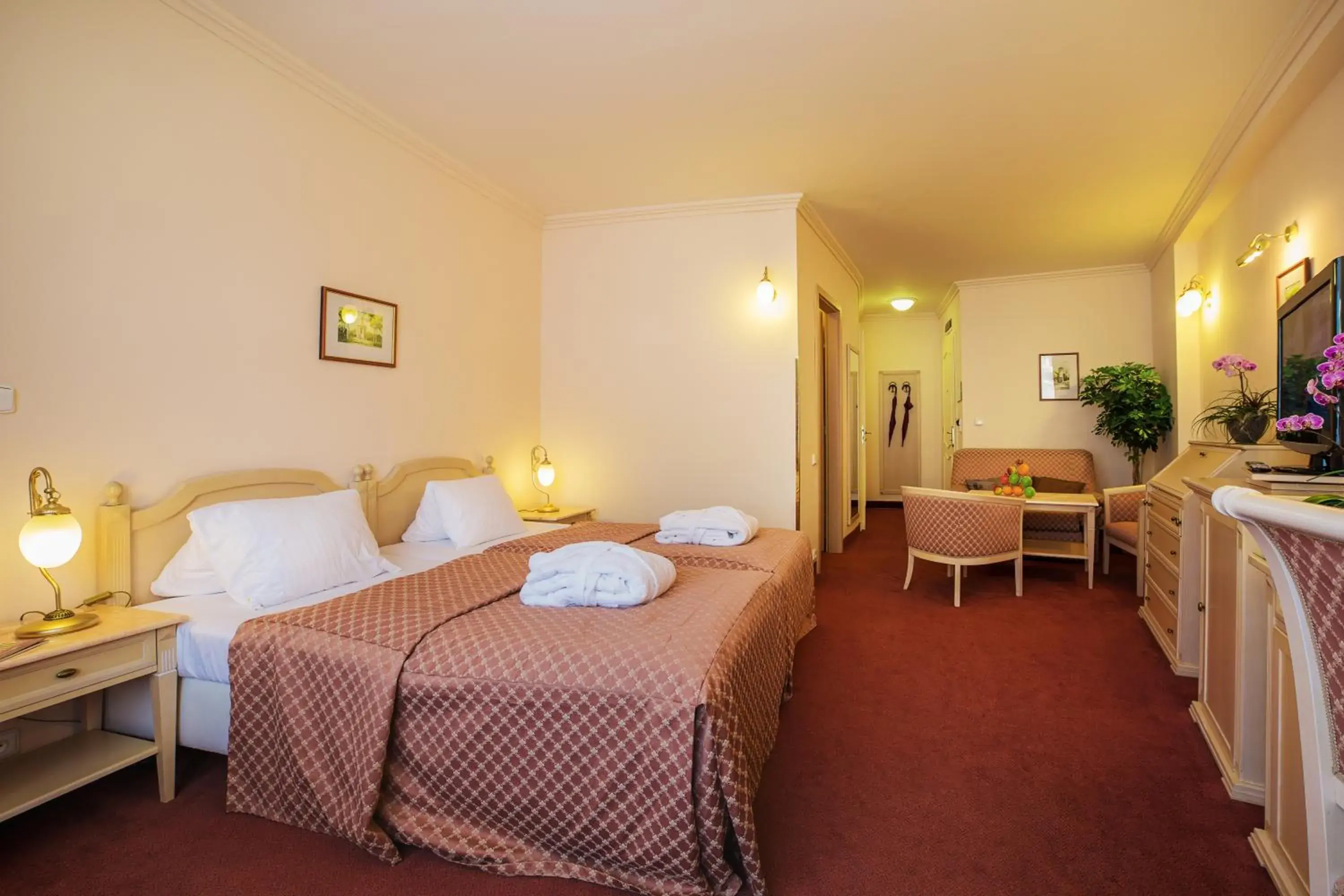 Deluxe Double Room - single occupancy in Interhotel Central Deluxe Double Room - single occupancy in Interhotel Central