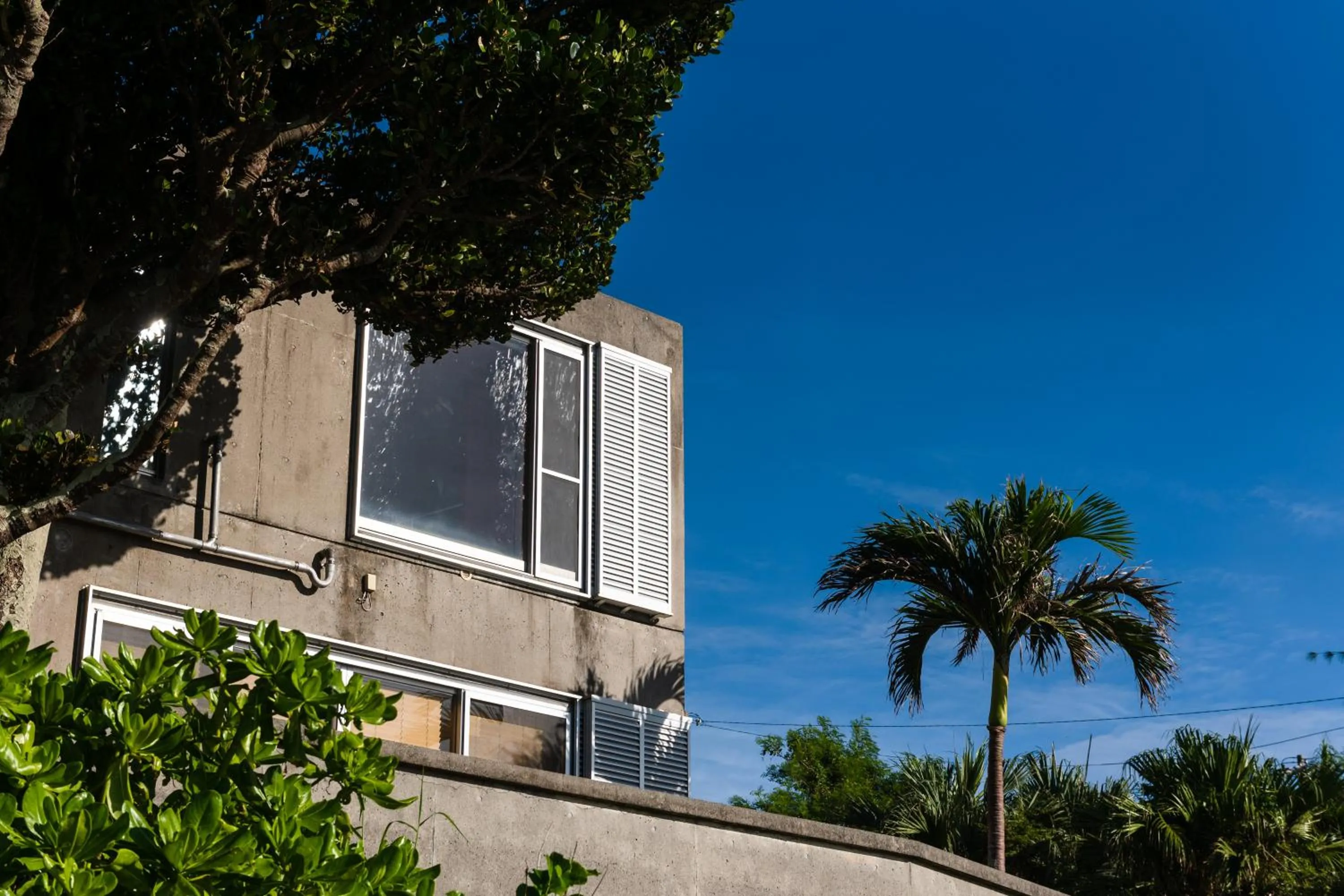 Property building in Pine House in Ginoza