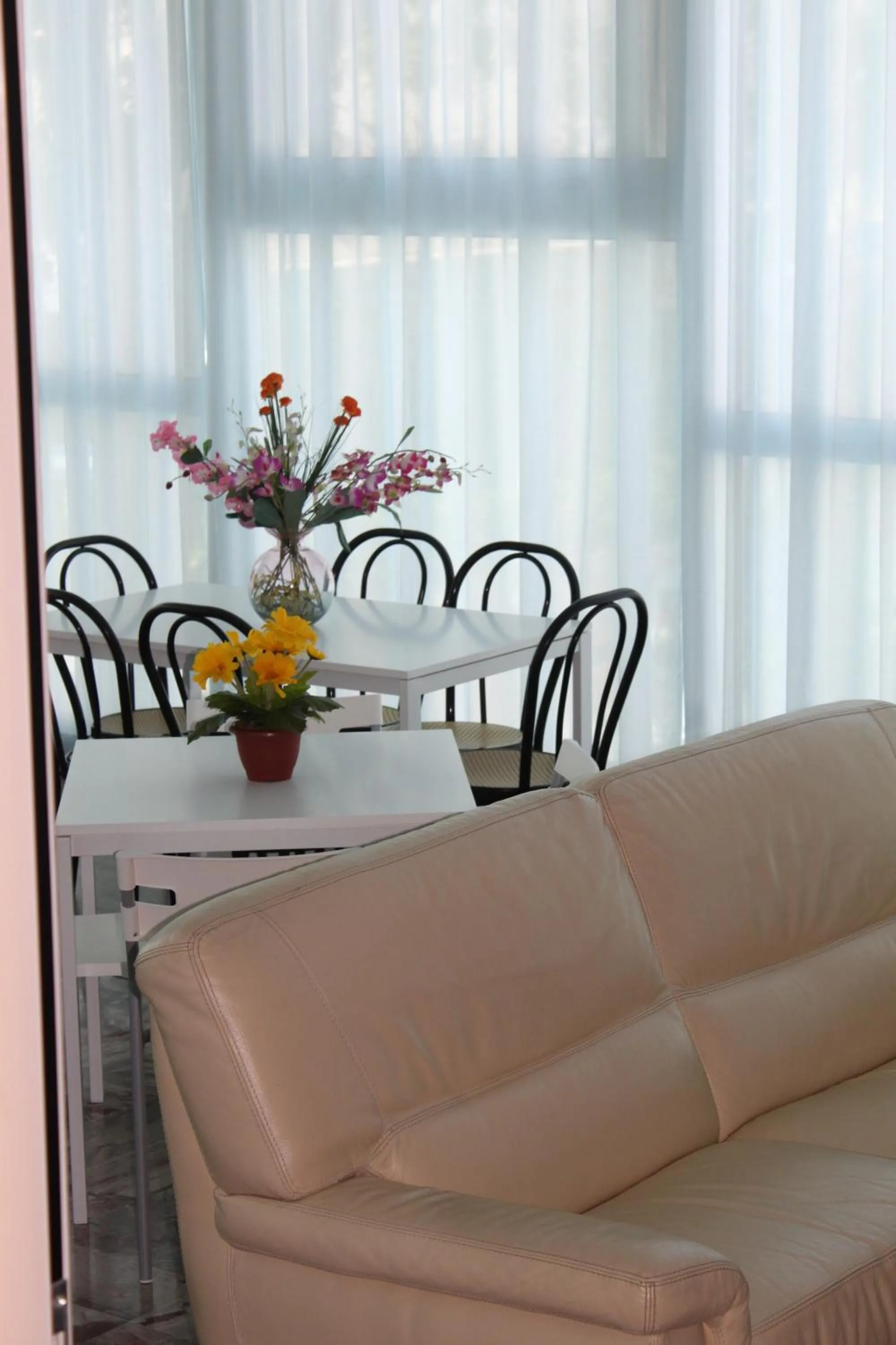 Lounge or bar in Hotel San Paolo