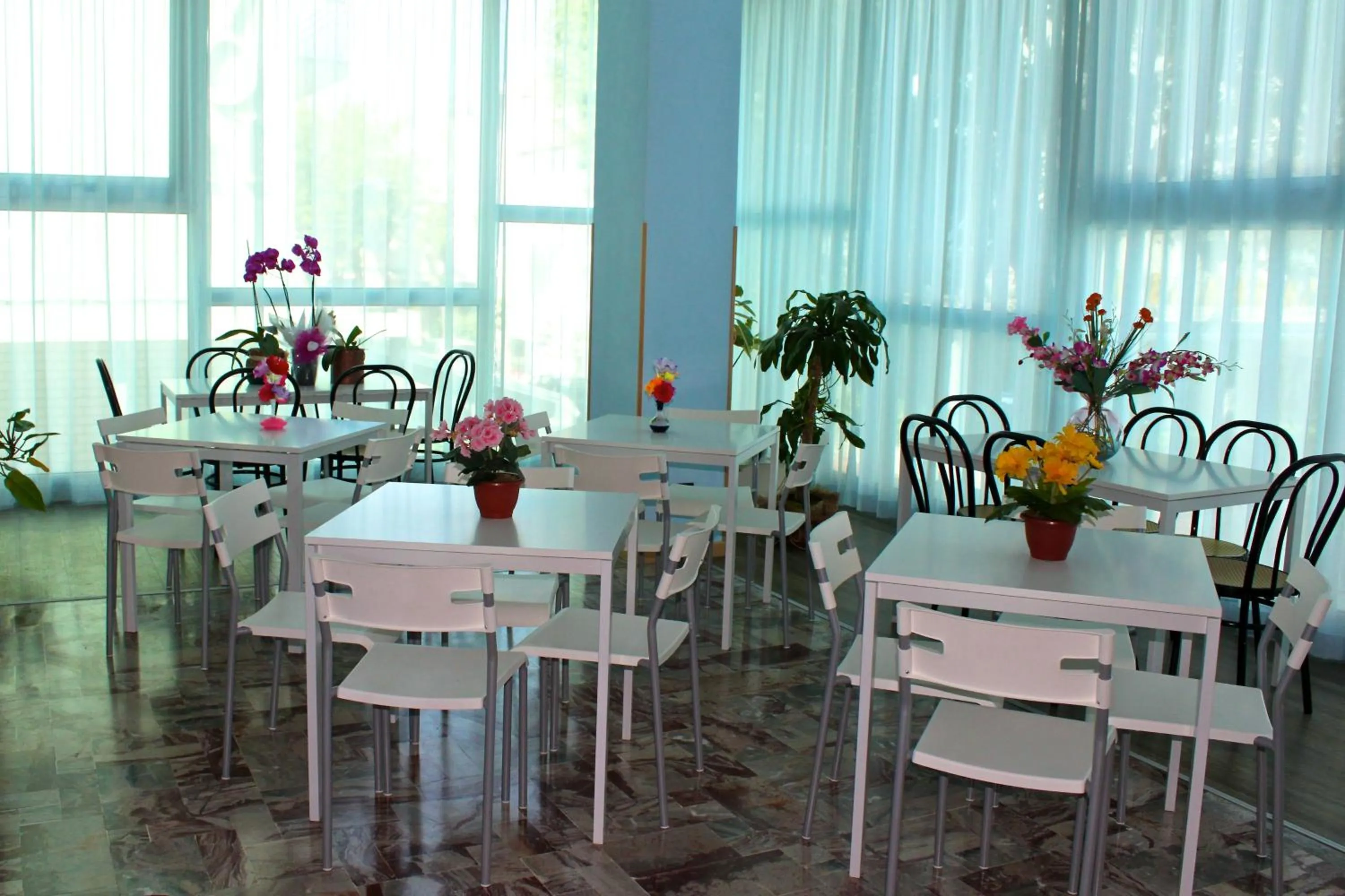 Restaurant/places to eat in Hotel San Paolo