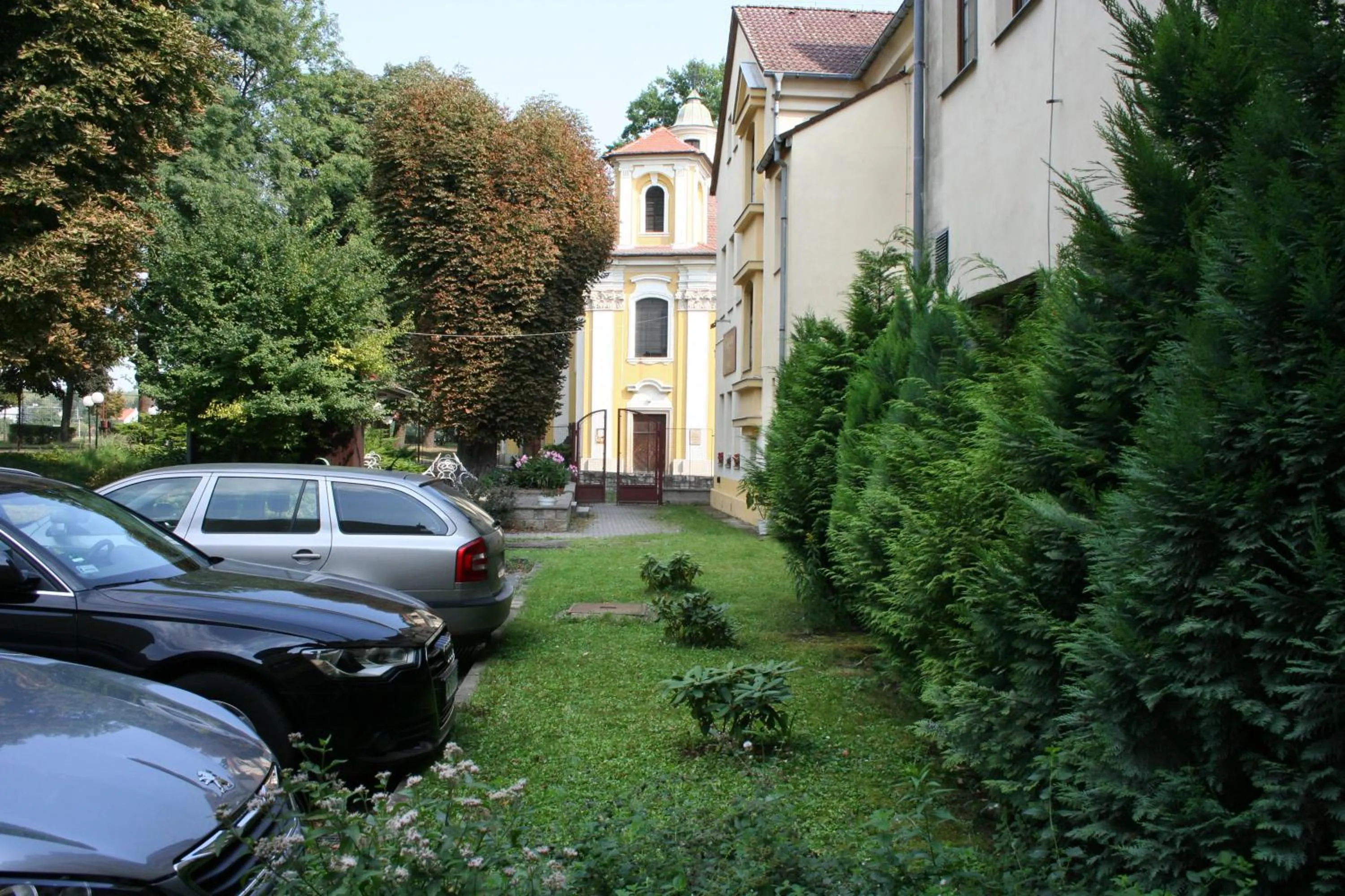 Garden in Hotel Casanova