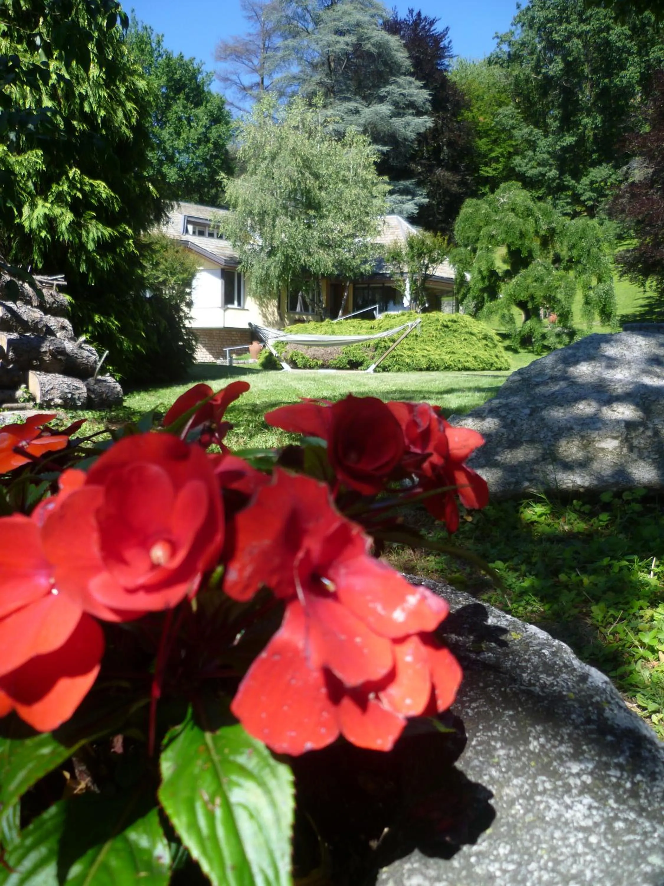 Decorative detail in Il Colombé B&B