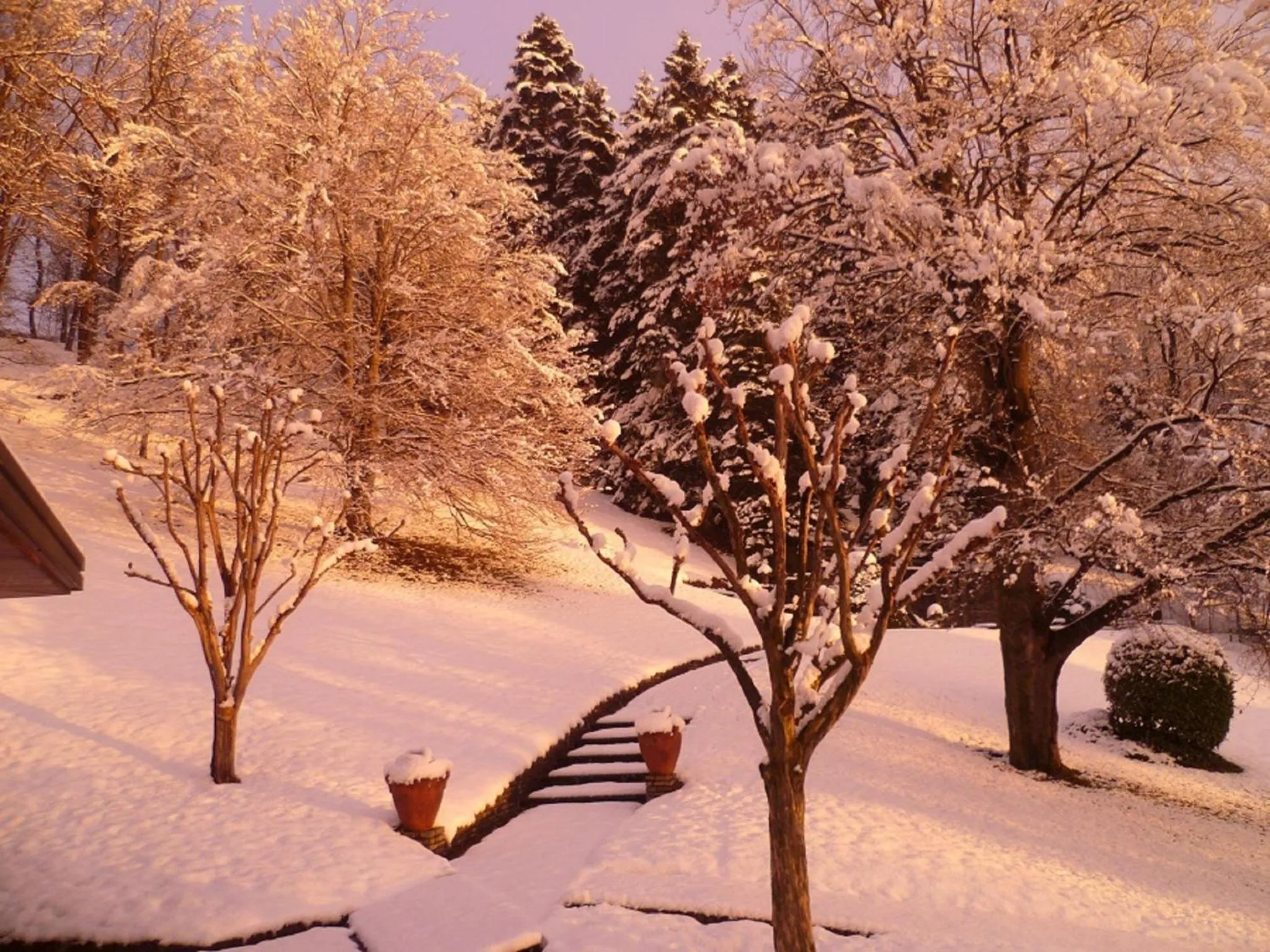 Winter in Il Colombé B&B