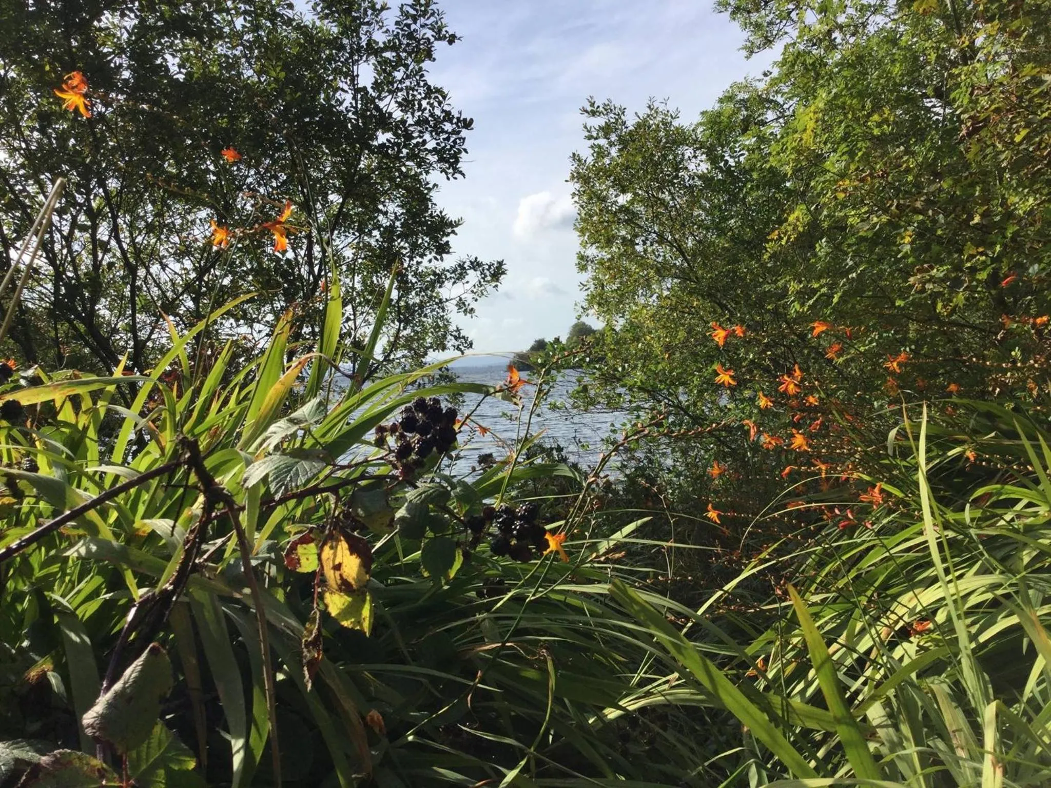 Natural landscape in Ryan's River Lodge B&B