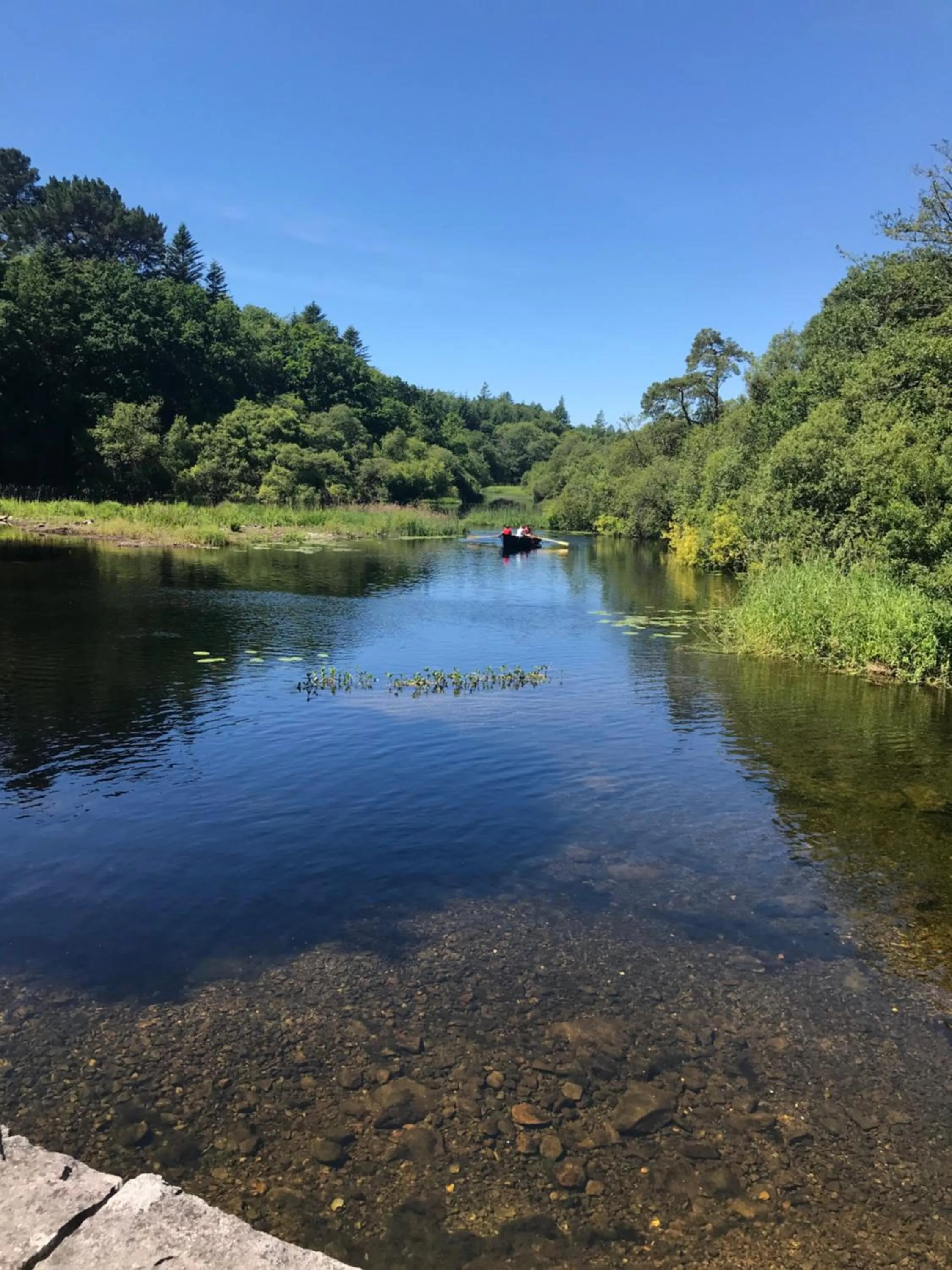 Nearby landmark in Ryan's River Lodge B&B