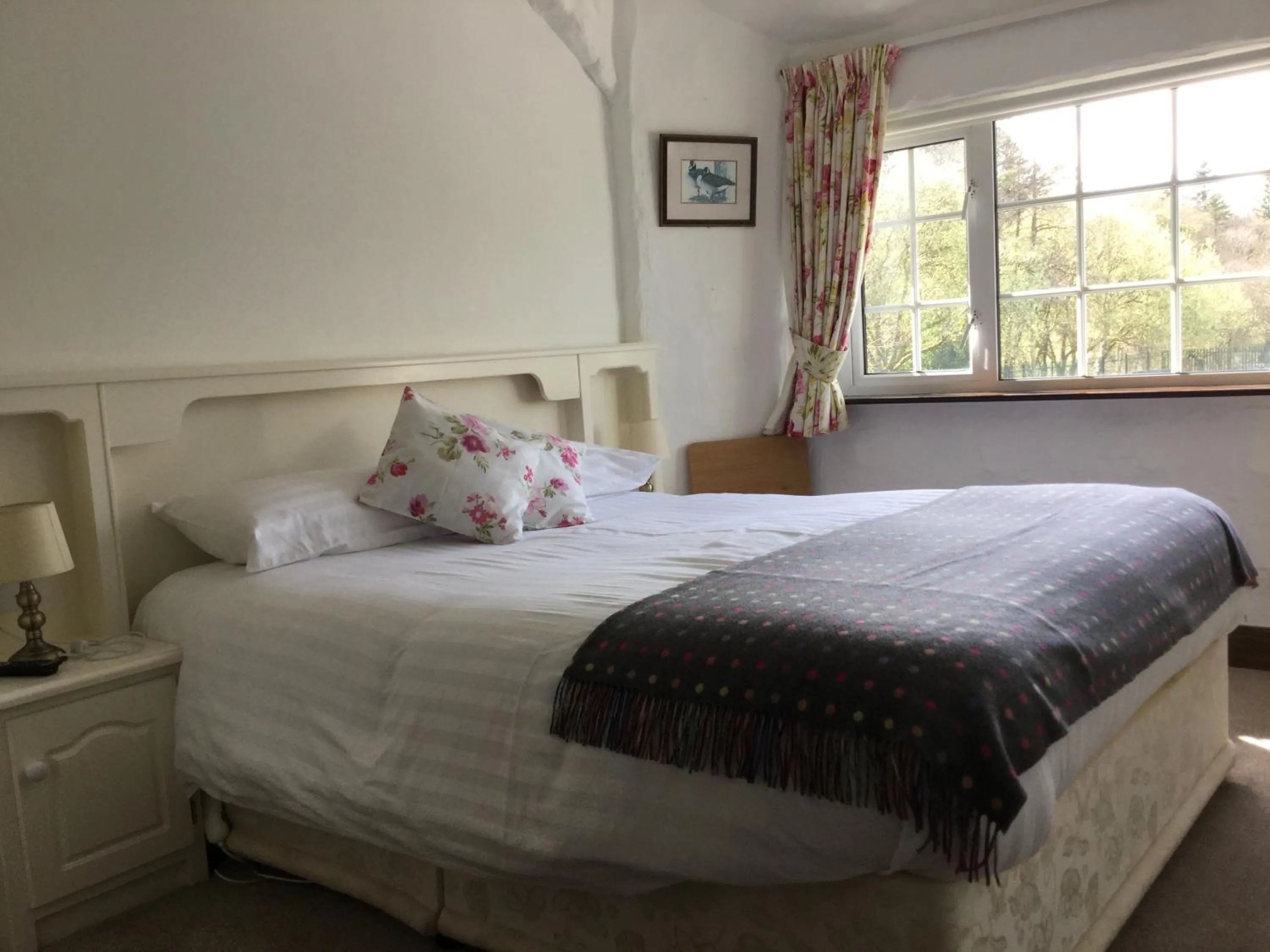 Shower, Bed in Ryan's River Lodge B&B