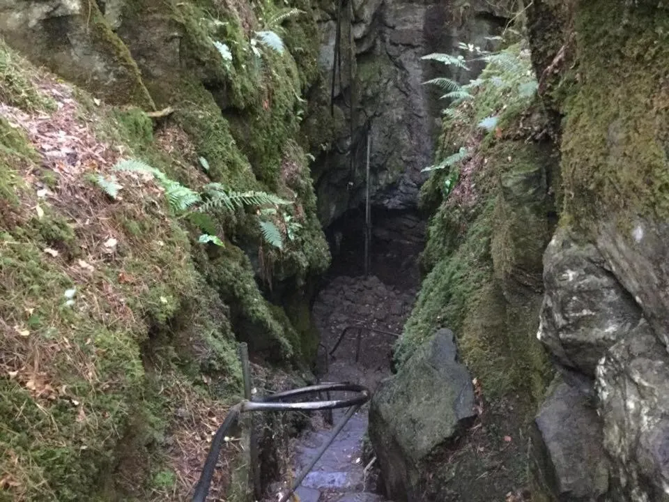 Natural landscape in Ryan's River Lodge B&B