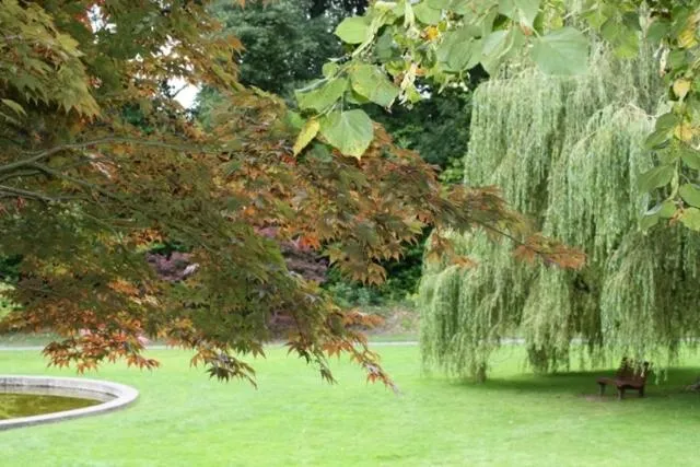 Nearby landmark in Ryan's River Lodge B&B