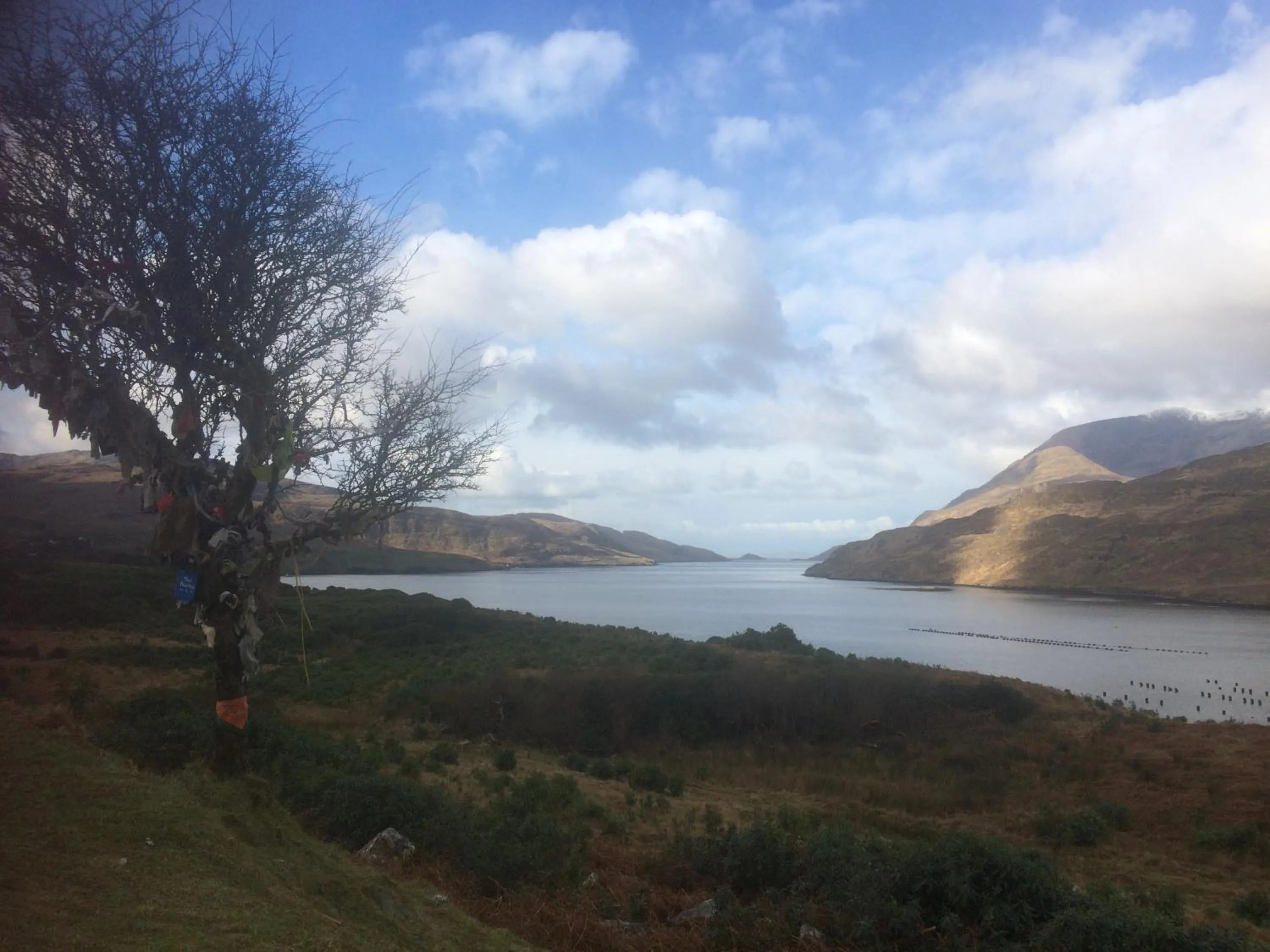 Ryan's River Lodge B&B