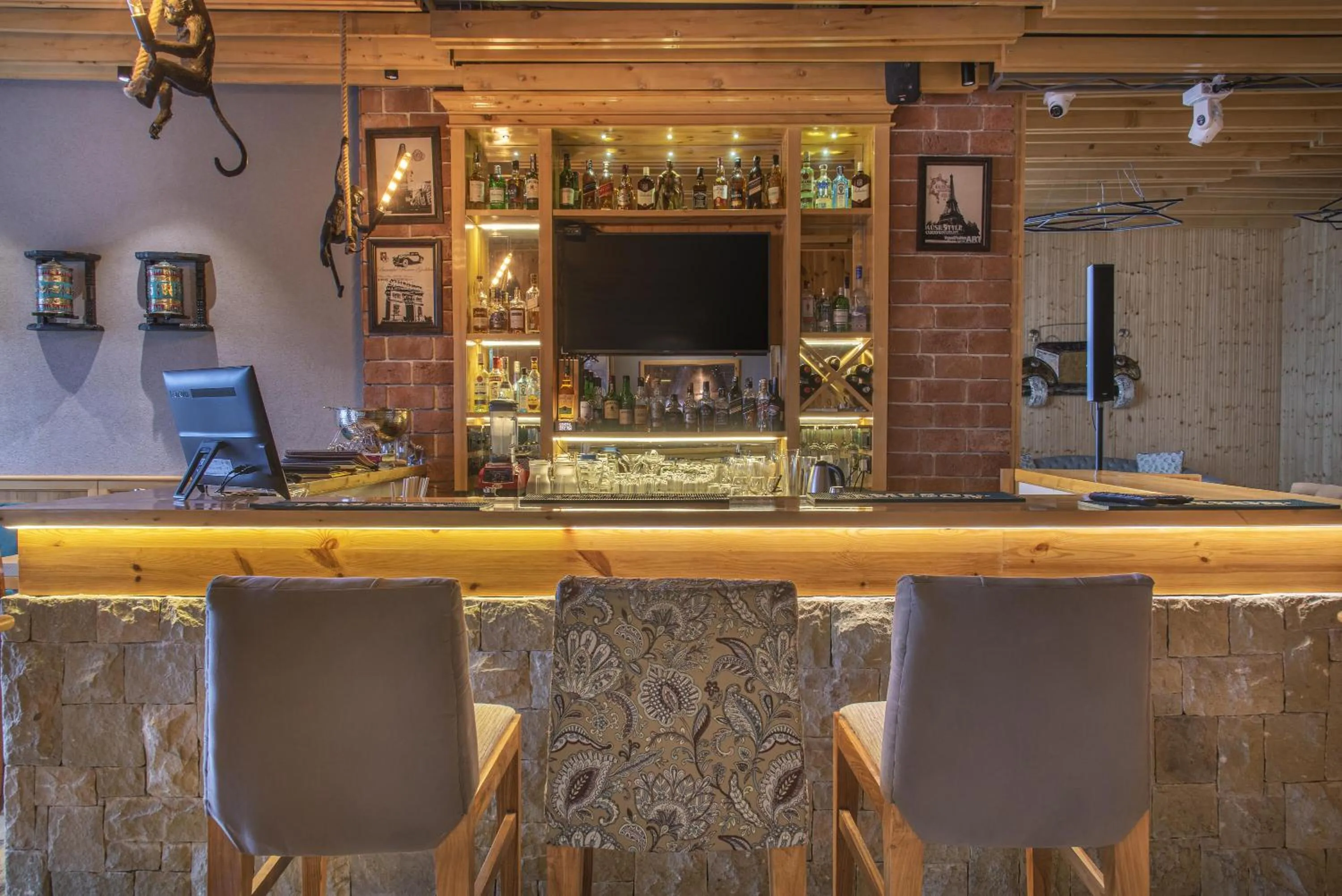 TV and multimedia in Echor Mandara TreeVilla Dharamshala