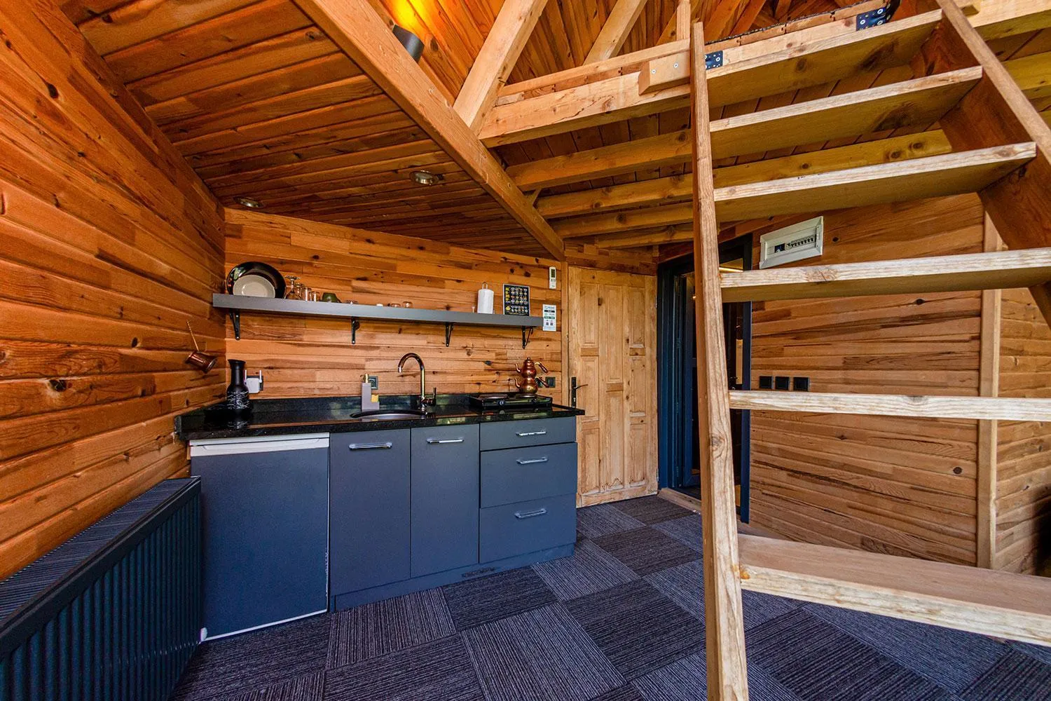 Kitchen or kitchenette in Pavri suit bungalov