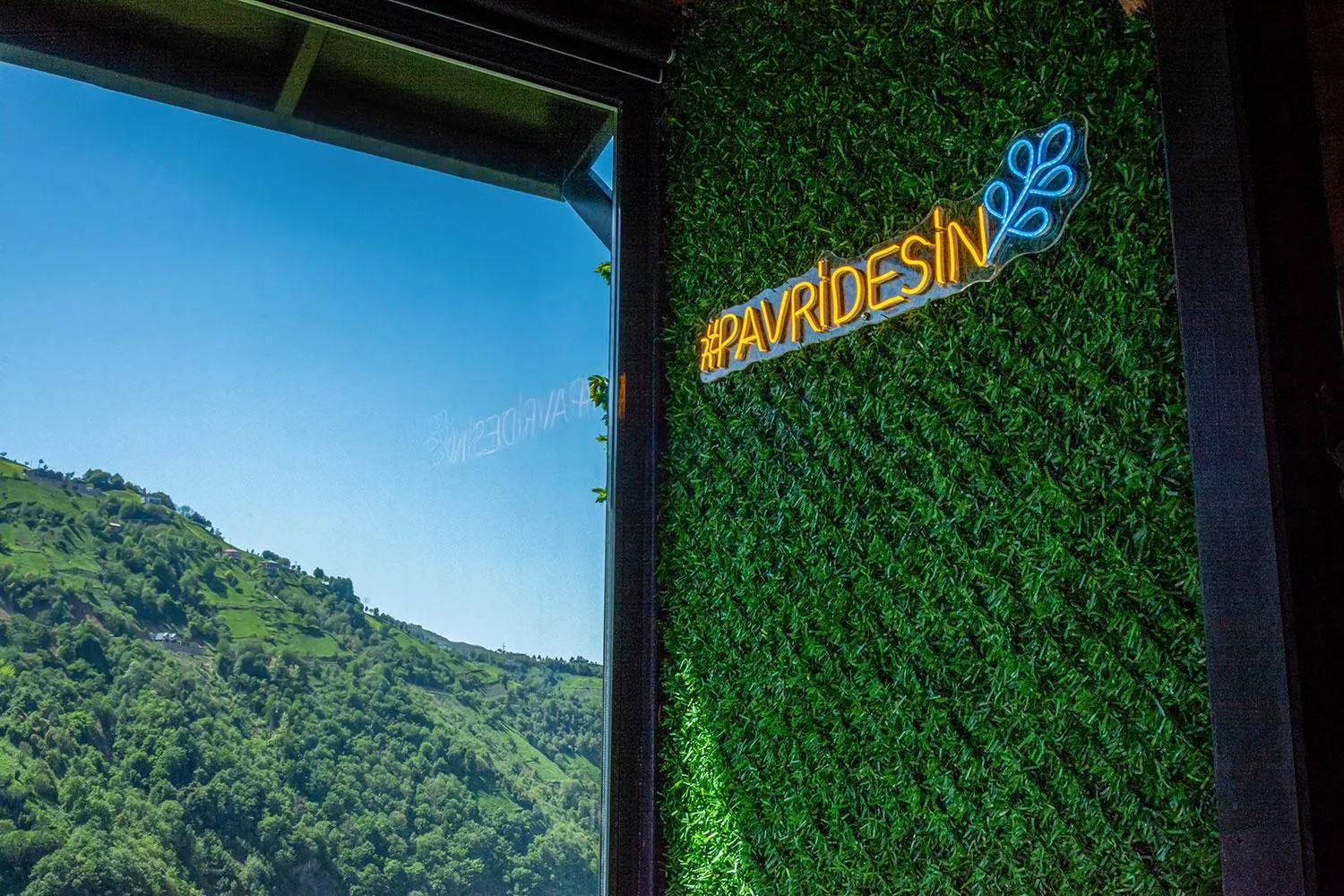 Spring in Pavri suit bungalov