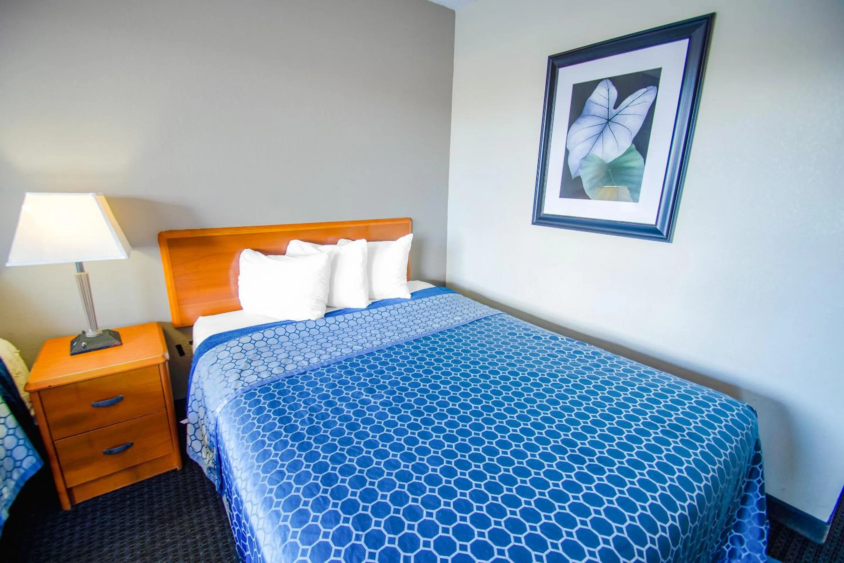 Bedroom, Bed in Sportsman's Inn Plymouth 252-793-3095