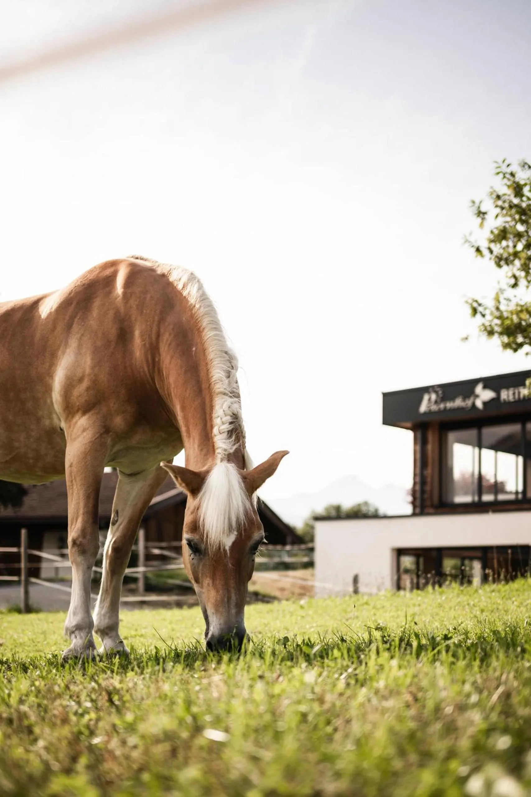 Wohlfühlresort Peternhof
