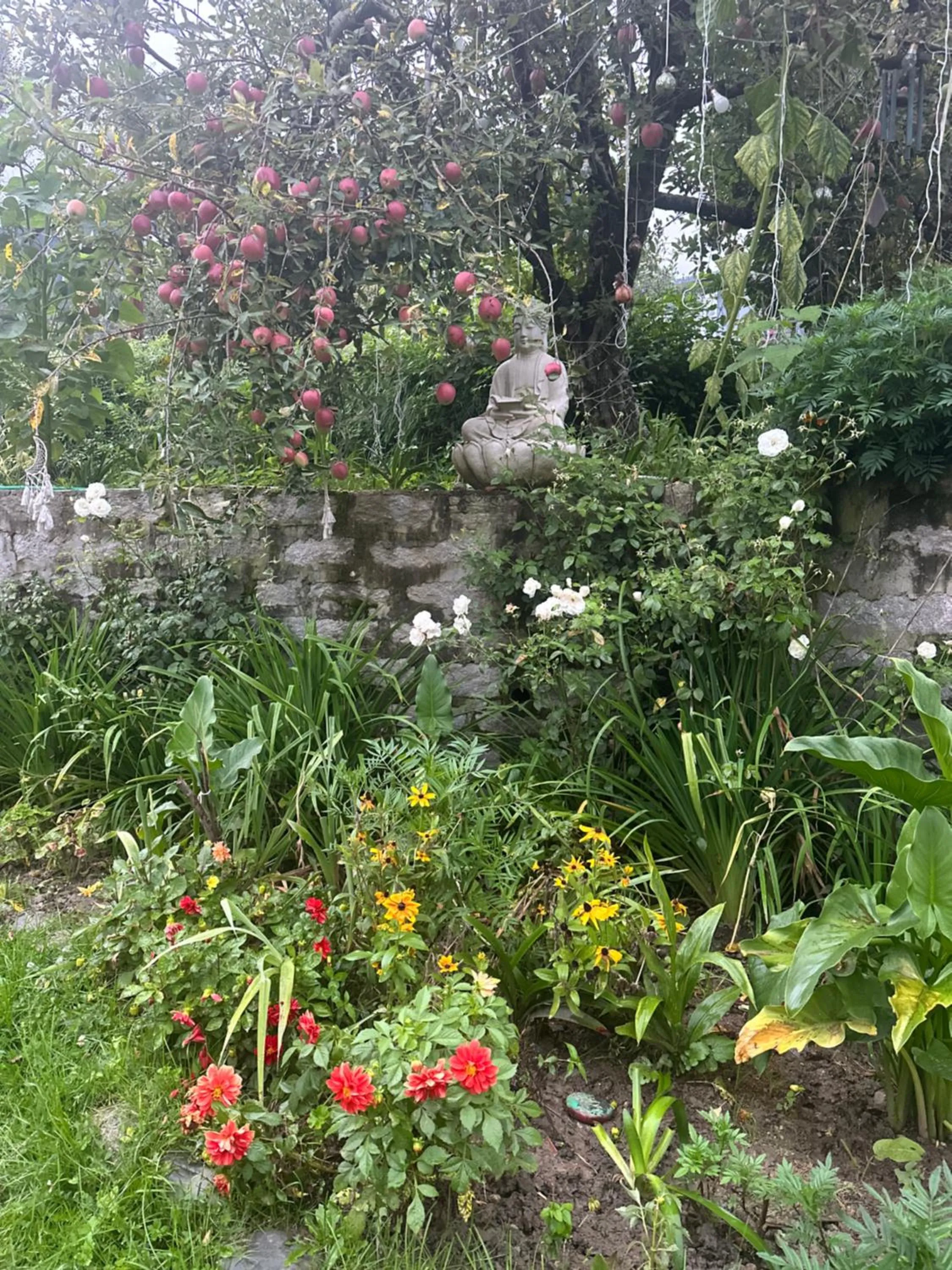 Natural landscape in Amarys Boutique Stays Manali