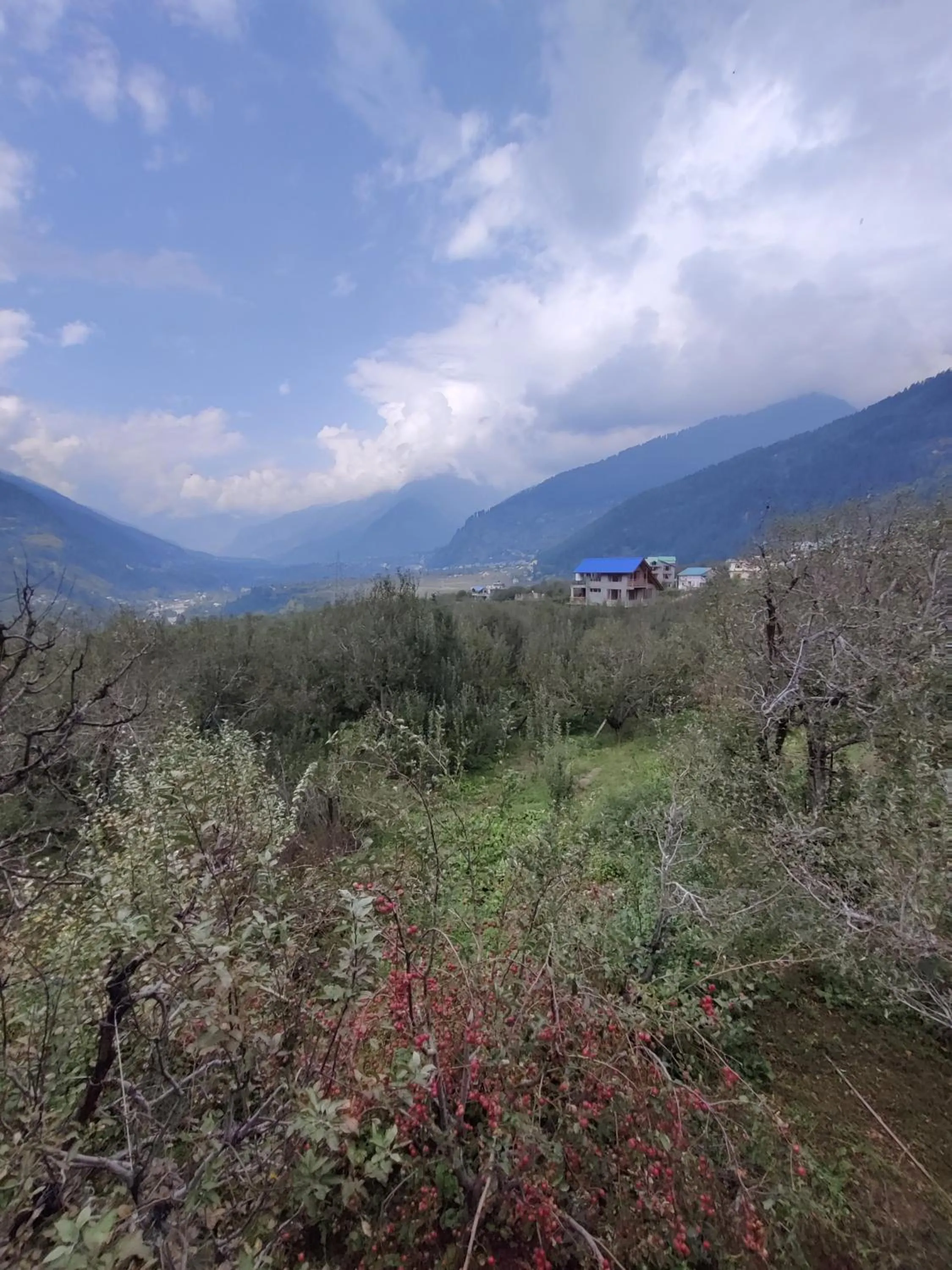 Natural landscape in Amarys Boutique Stays Manali