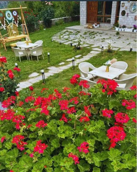 Garden in Amarys Boutique Stays Manali