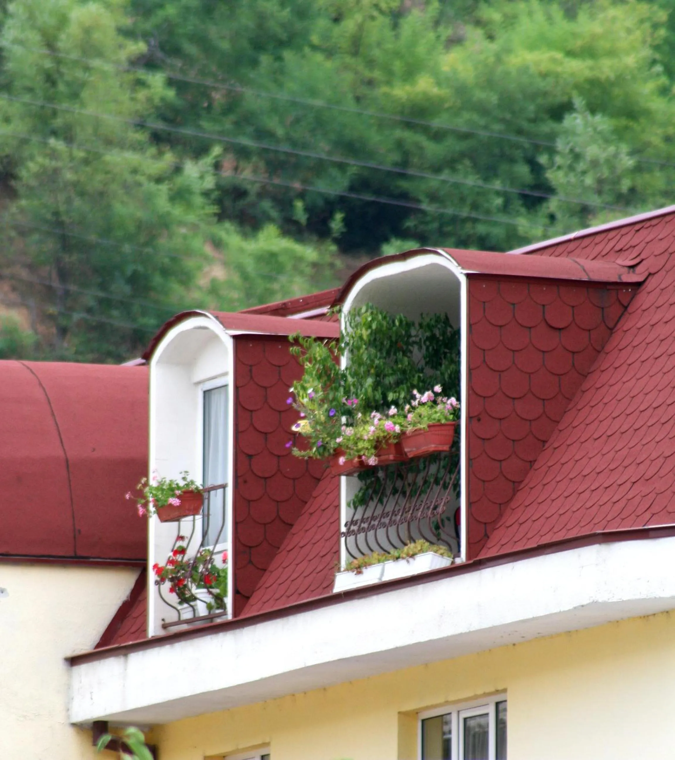 Decorative detail in Family Hotel Flora