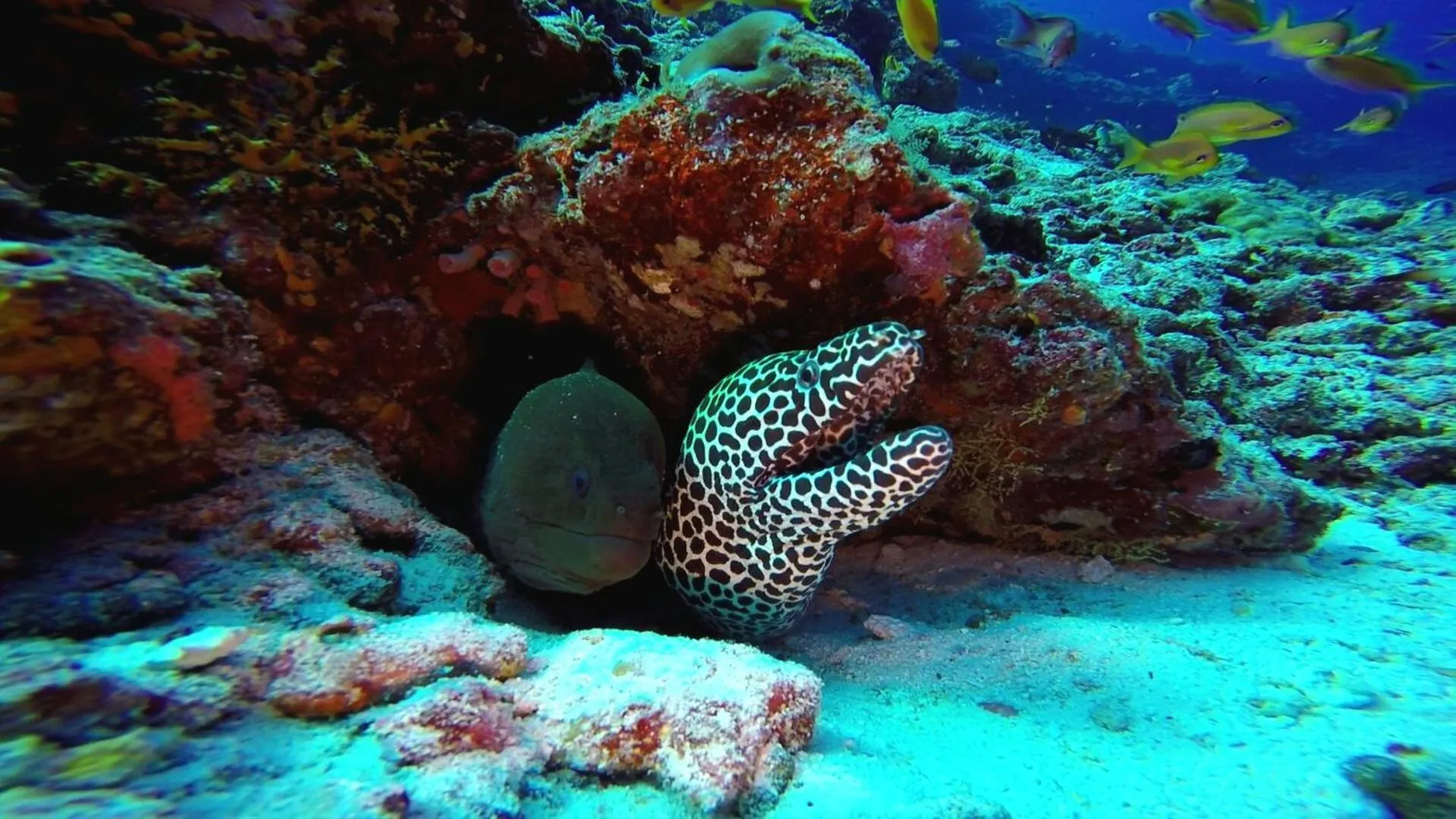 Activities in Sky Beach Maldives - Dhiffushi