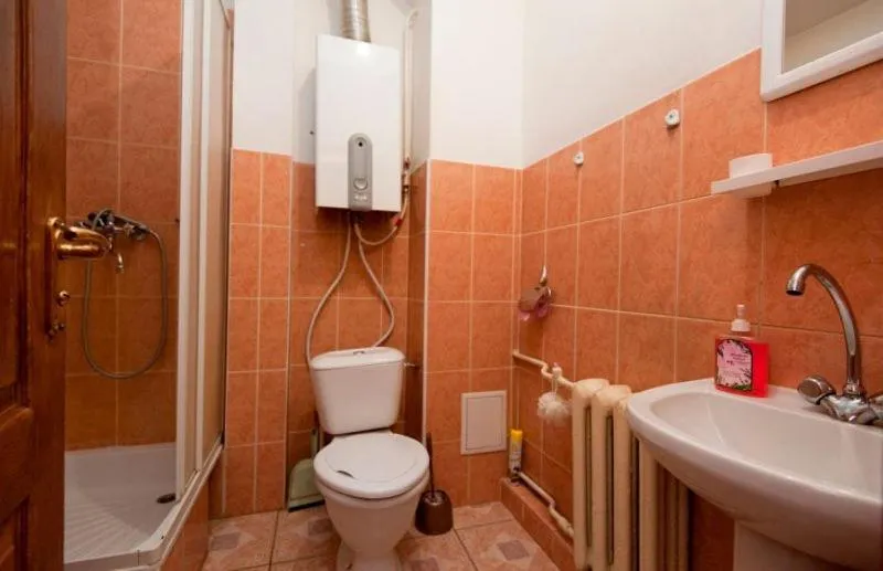 Shower in Apart-Hotel Parasolka