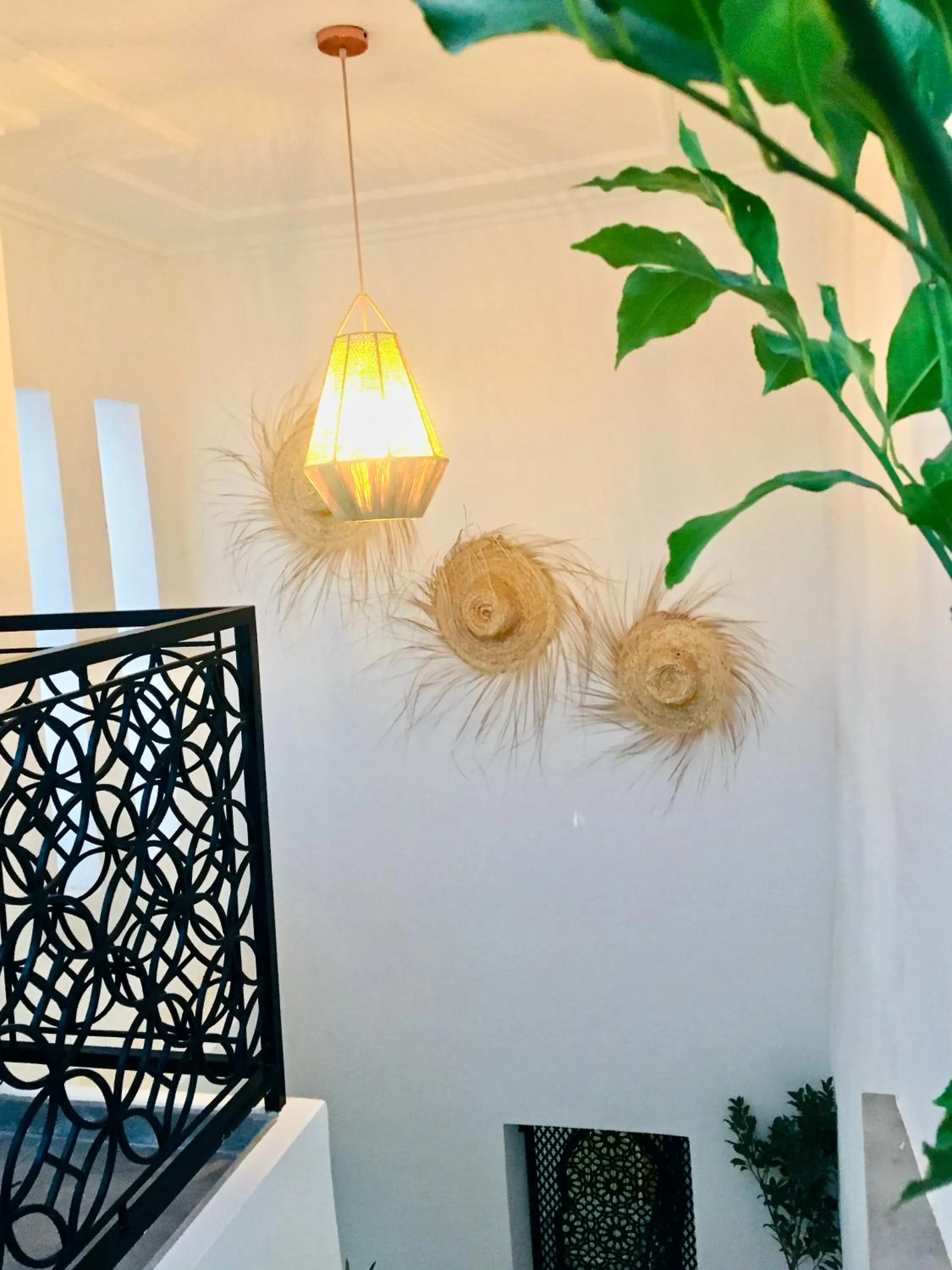 Property building in Riad Olika