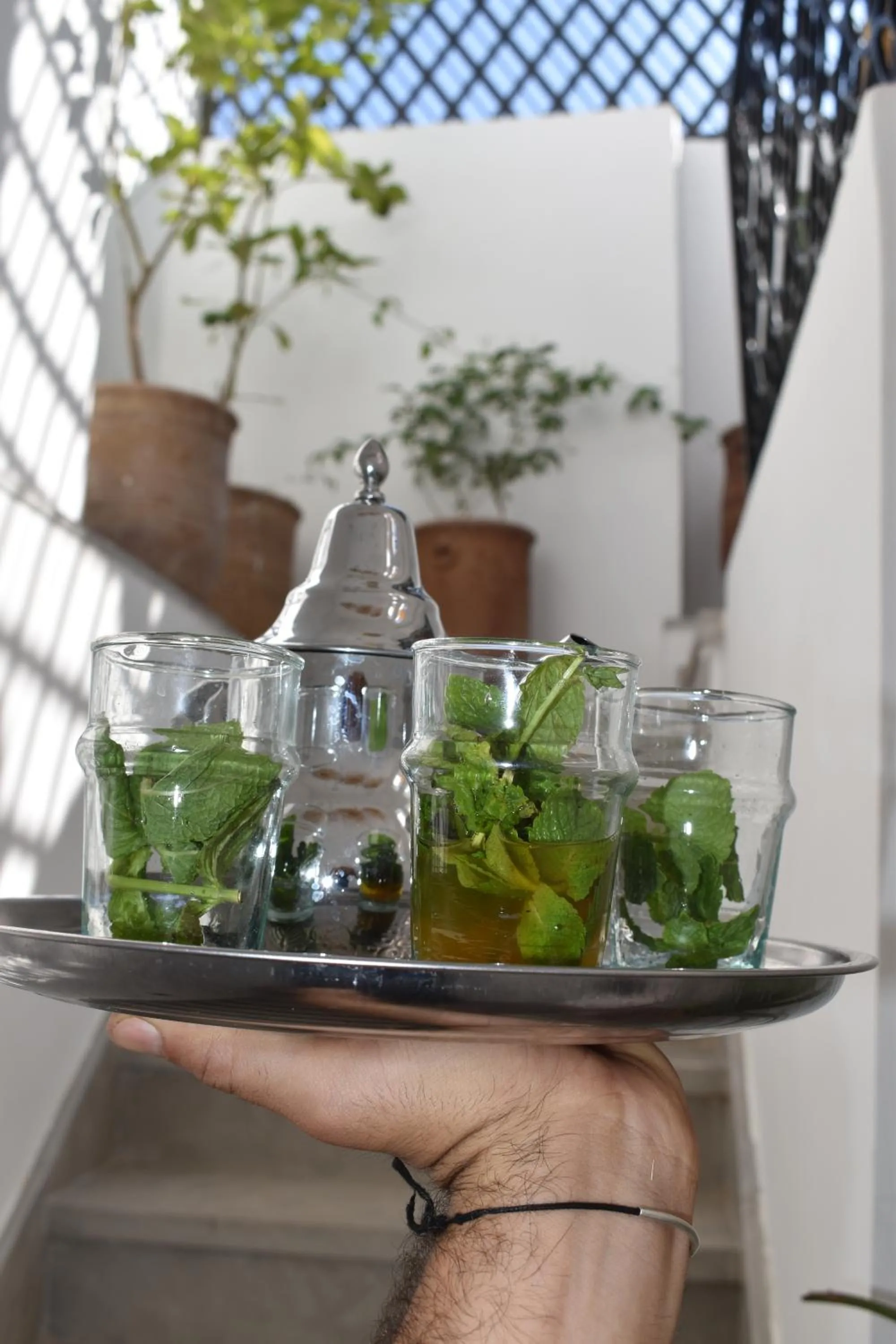 Food and drinks in Riad Olika
