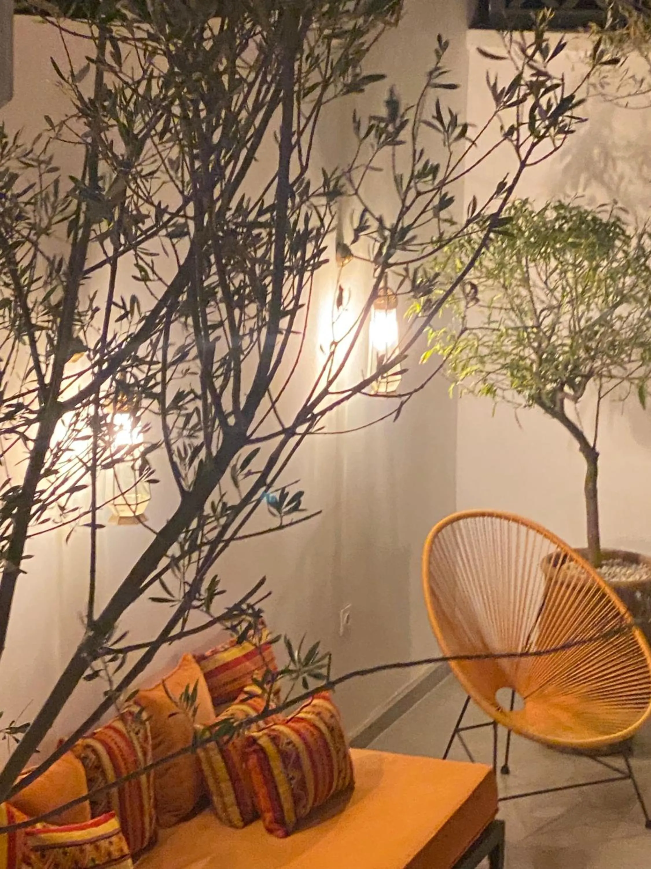 Patio in Riad Olika