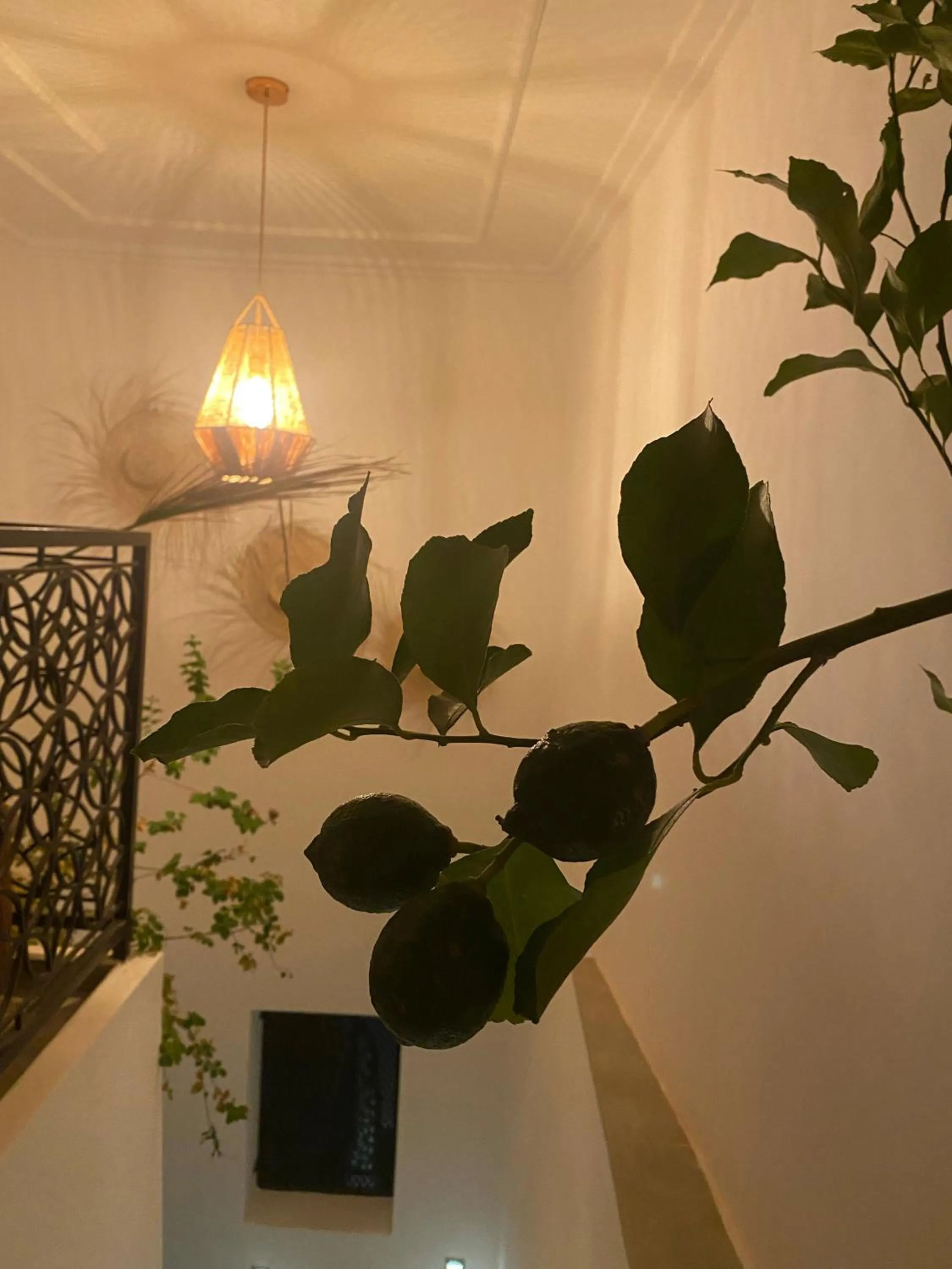 Property building in Riad Olika