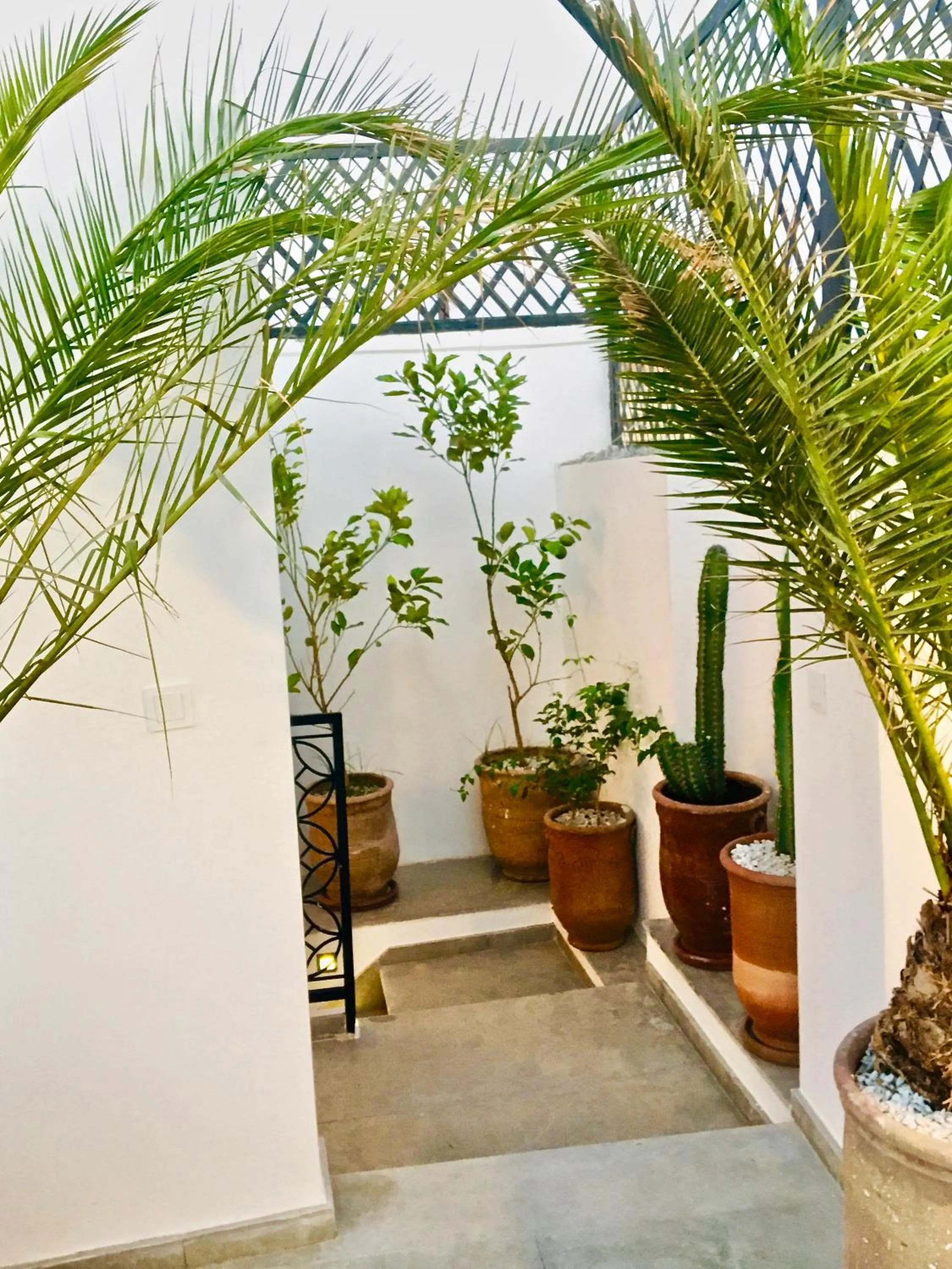 Property building in Riad Olika