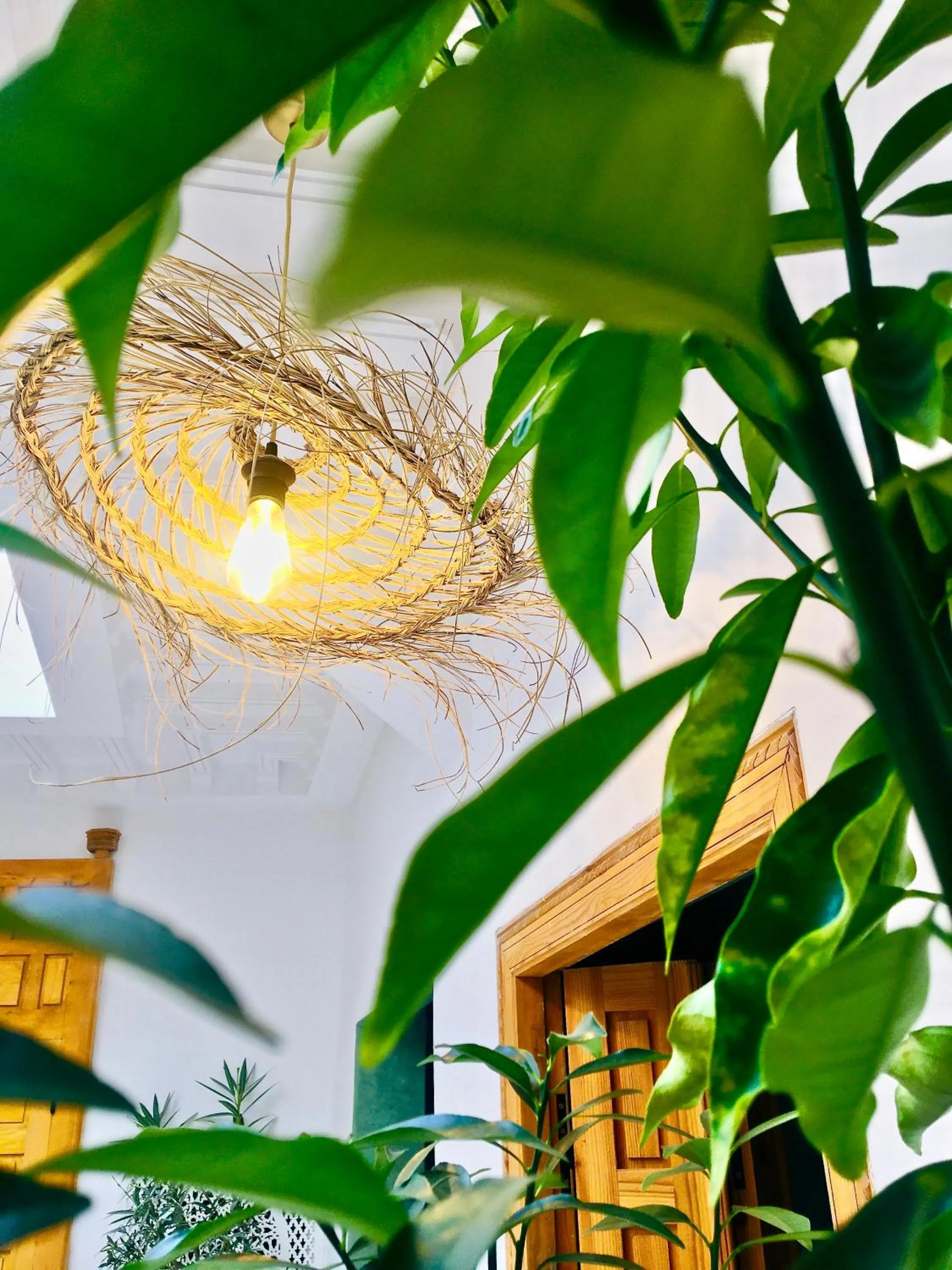 Property building in Riad Olika