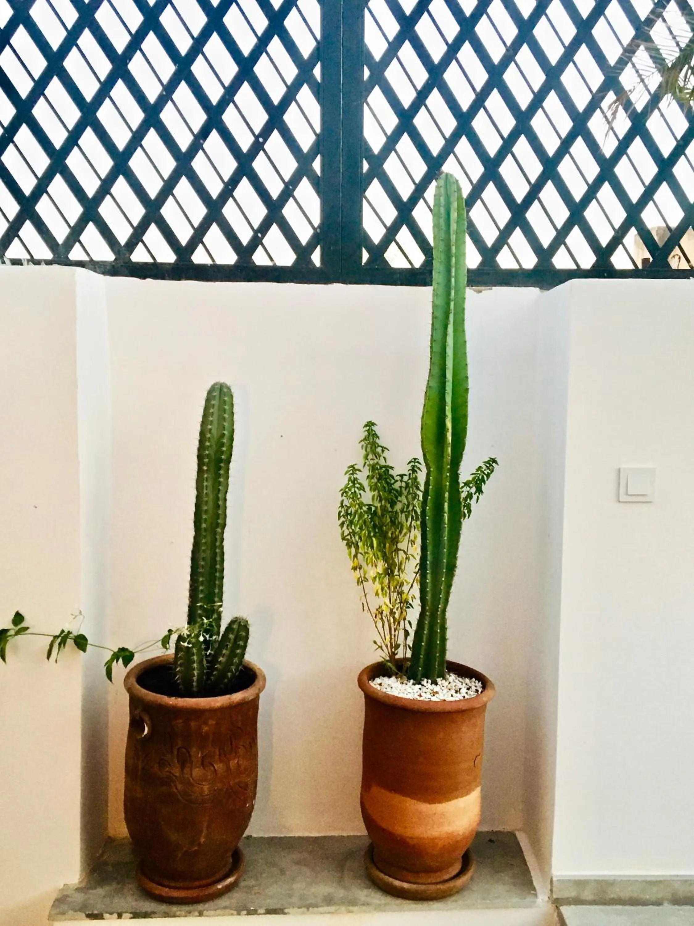 Patio in Riad Olika